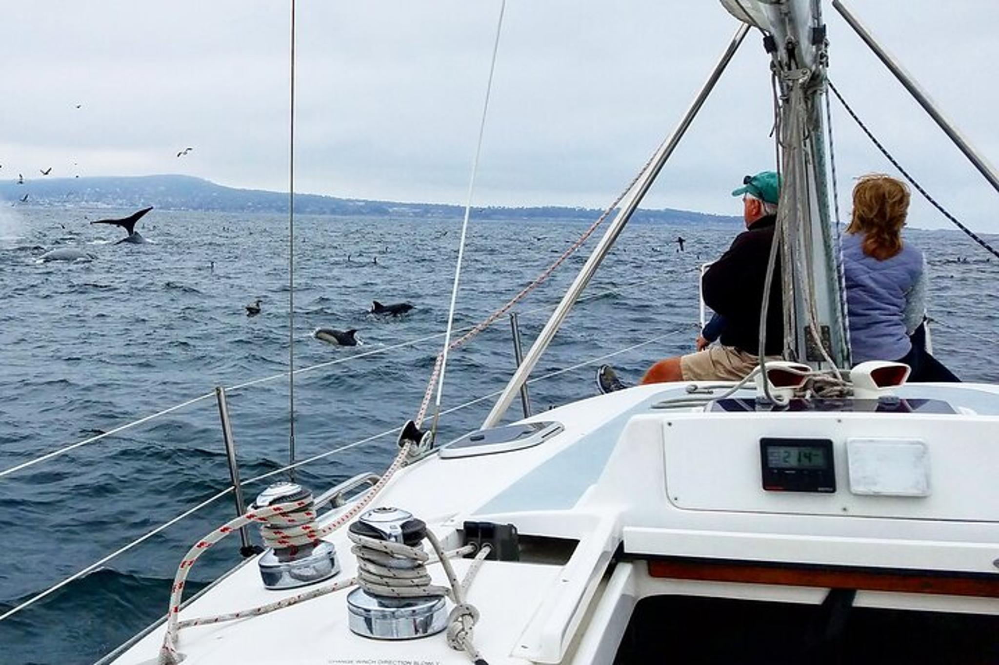 Monterey Whale Watching Cruise - Image 2