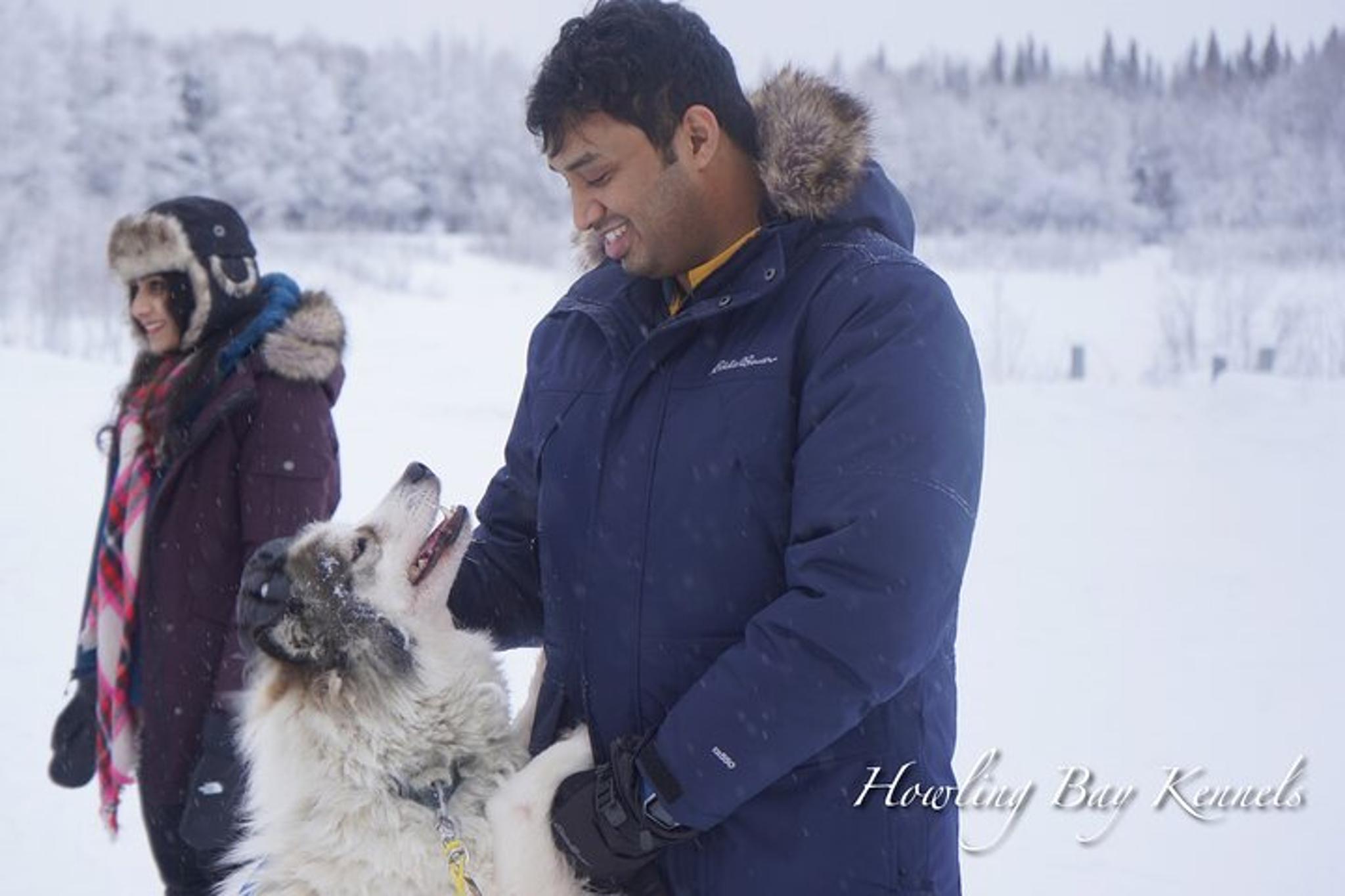 Fairbanks Dogsled Adventure with Homestead Tour - Image 4