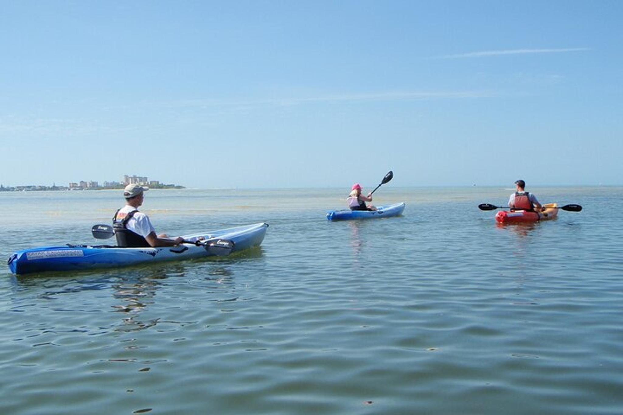 Fort Myers Kayak or SUP Rental 3hr - Image 5