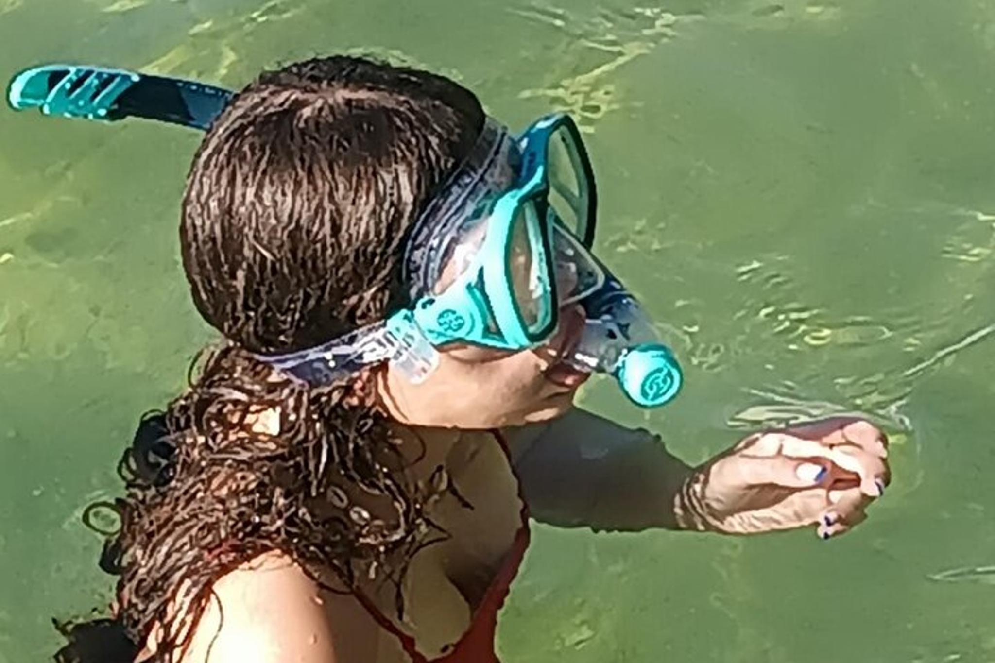 Miami Snorkel Adventure and Sandbar Trip - Image 2