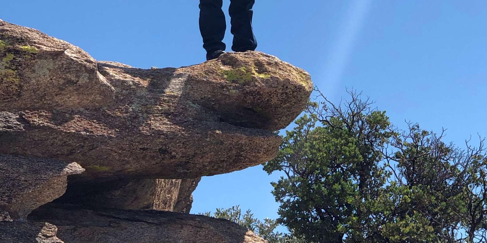Tucson Mountain Bio Zones Tour - Image 5
