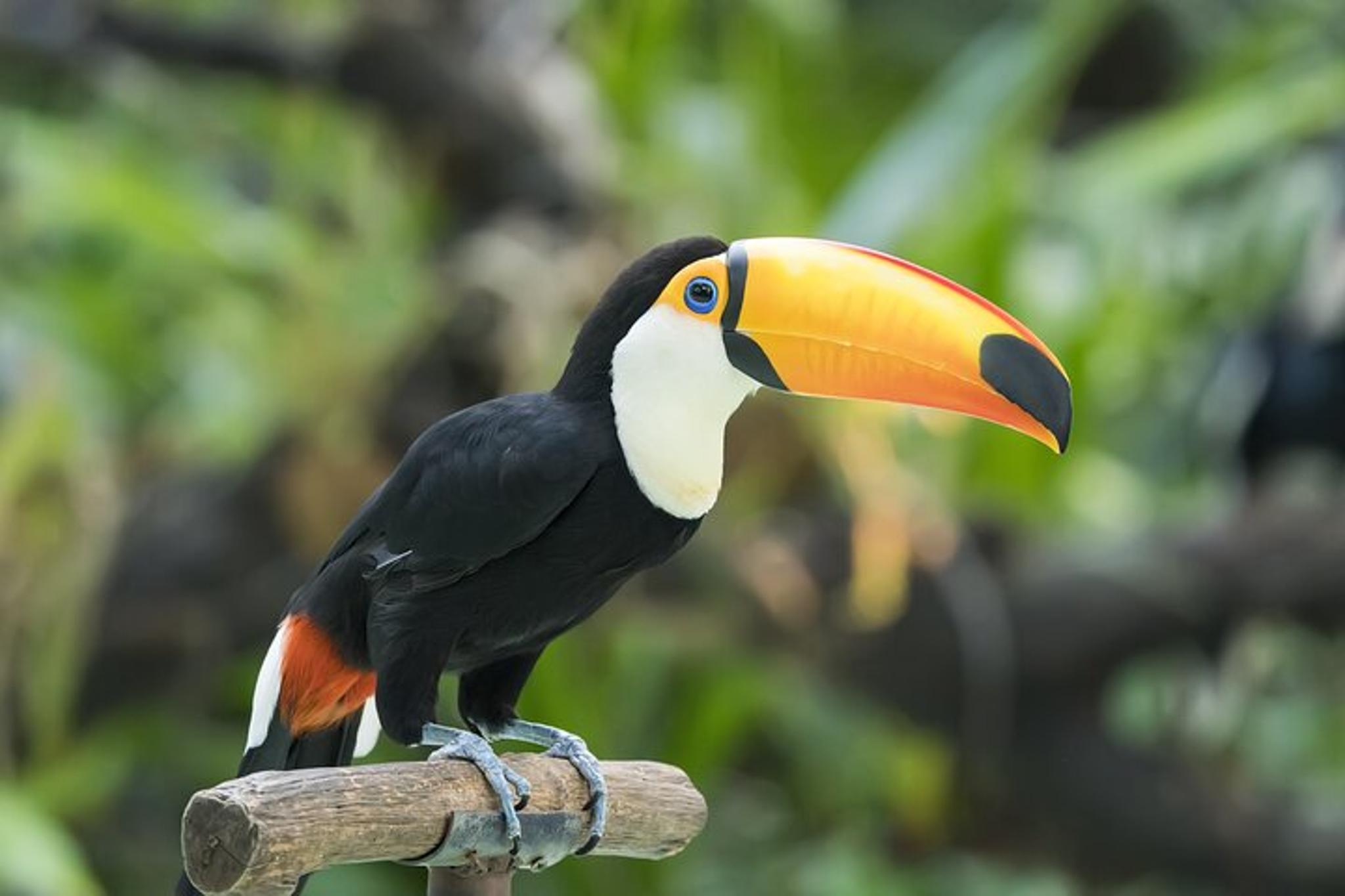 New York Central Park Zoo Tour with Private Transfers - Image 1