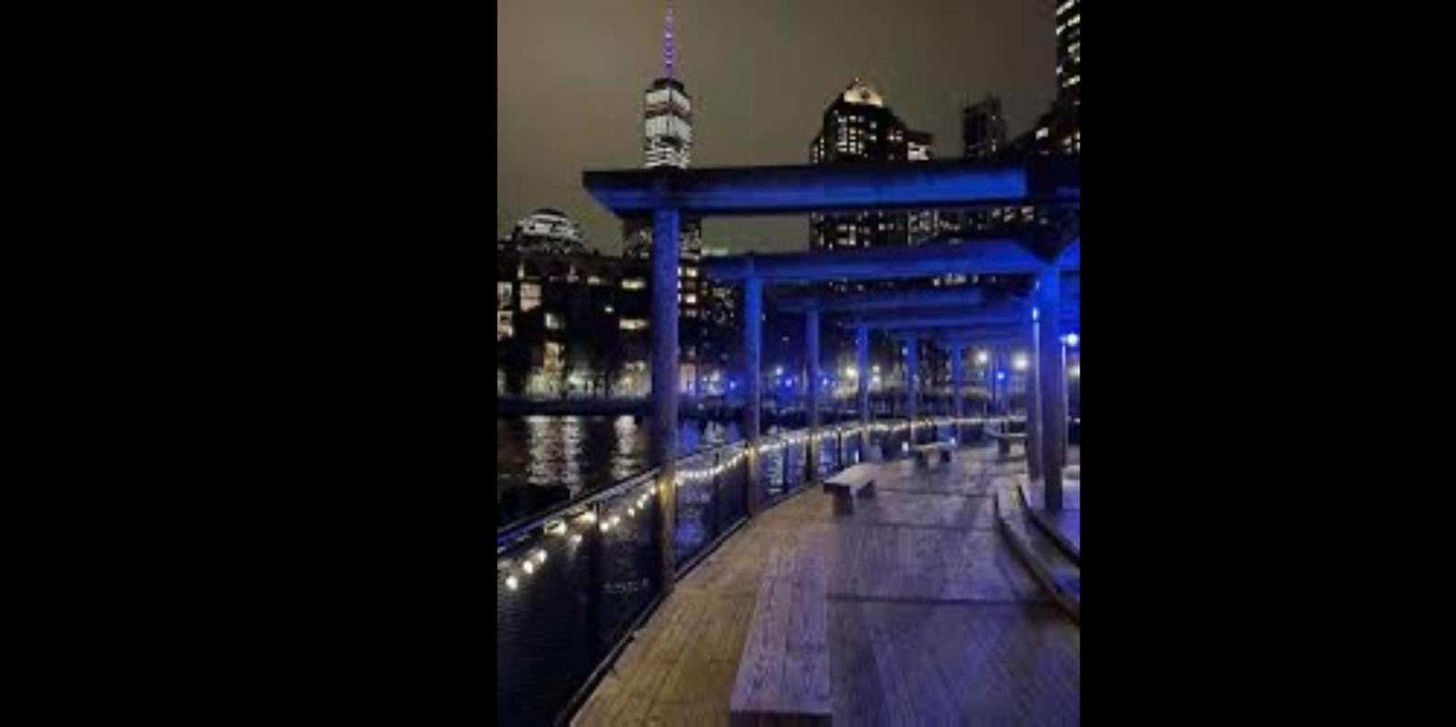 New York Christmas Tour with Hoboken Views 2 hr - Image 6