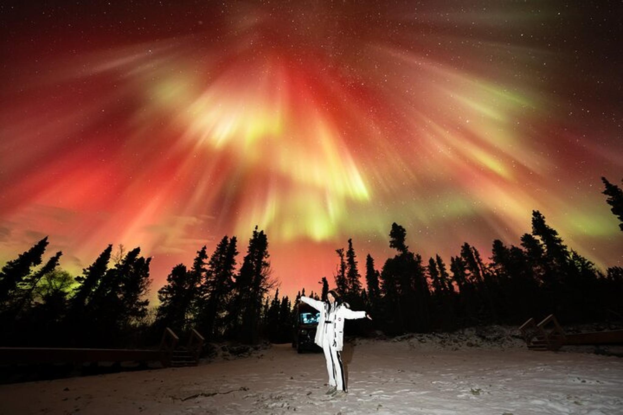 Aurora Chasing Tour in Northern Lights