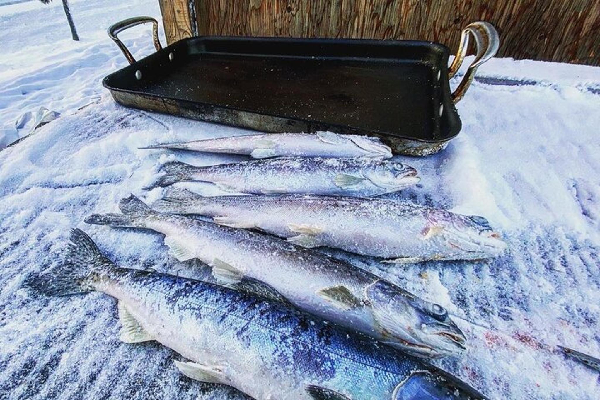 North Pole Ice Fishing Experience at Chena Lake - Image 6
