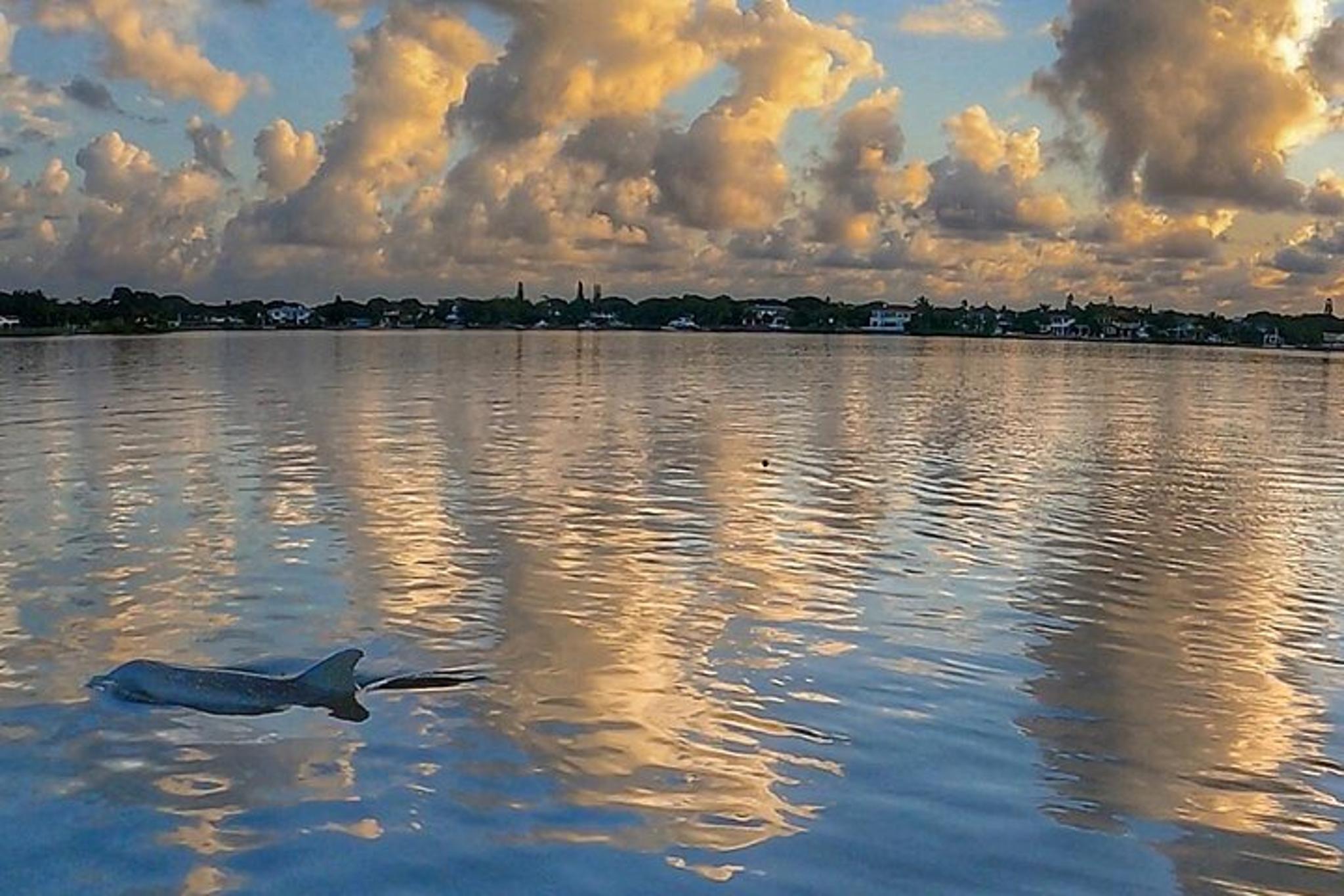 Jupiter Paddle Boarding Adventure - Image 5