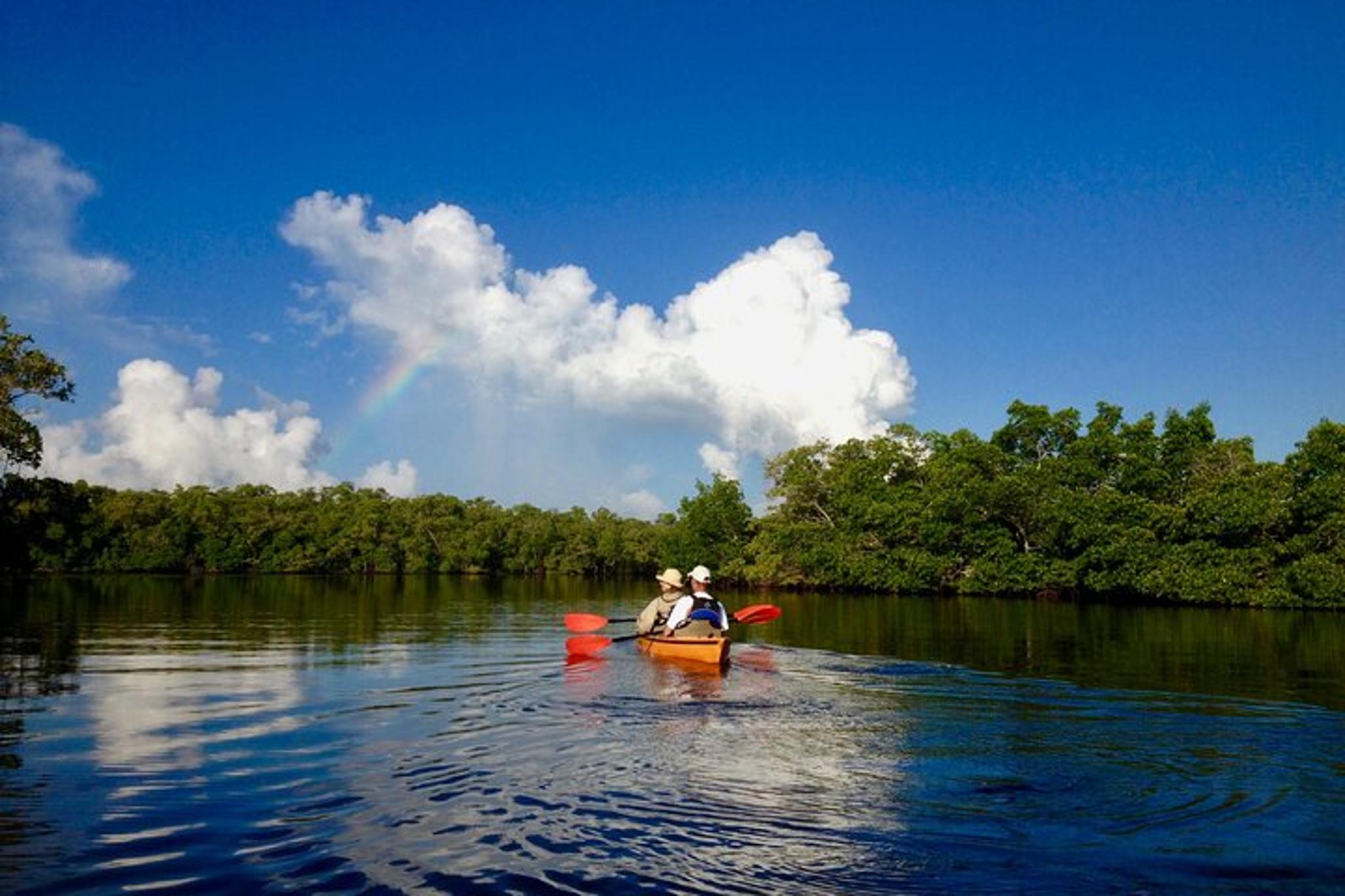 Marco Island Mangrove Tunnel Kayak Adventure - Image 4