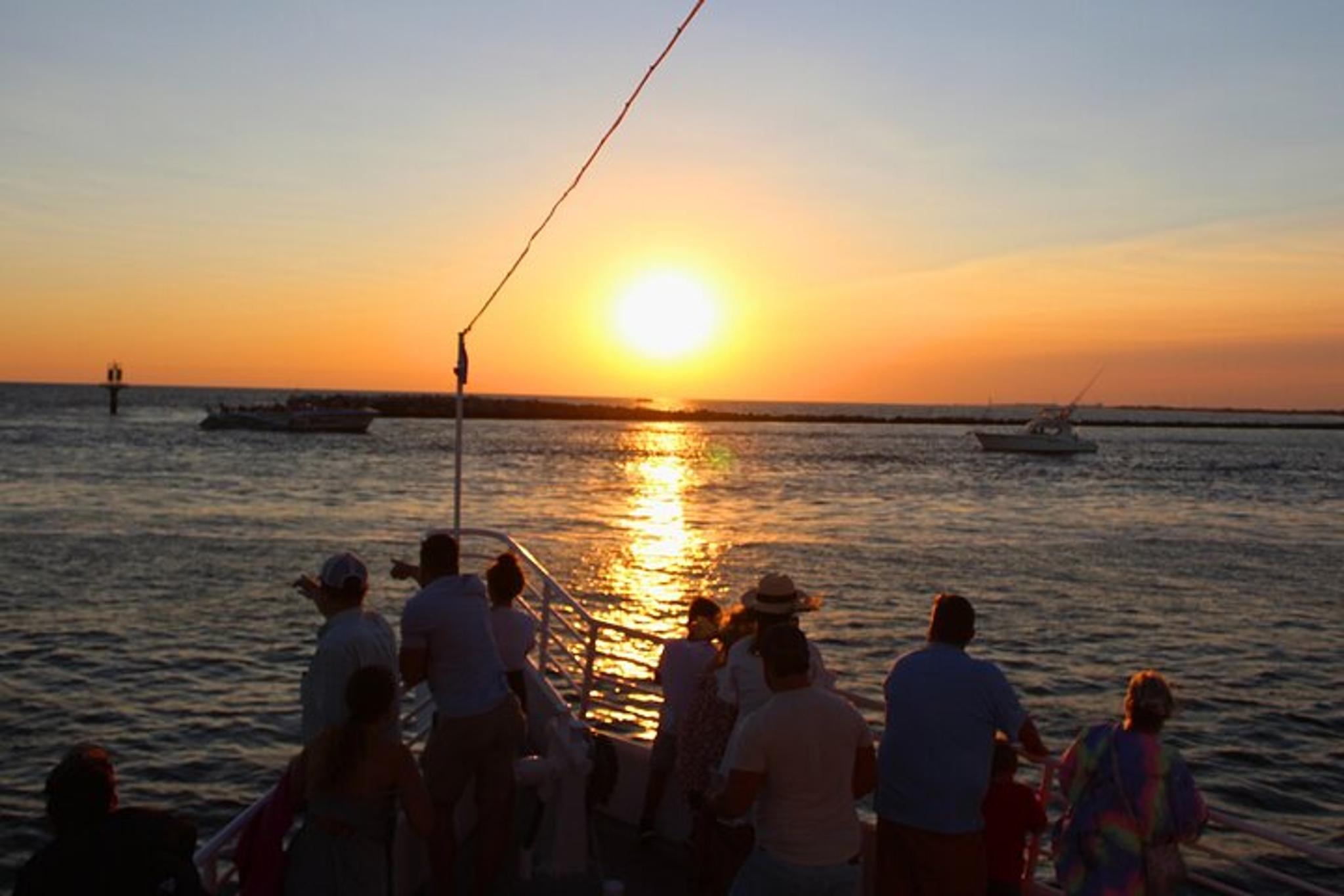Destin Dolphin Cruise at Sunset 90 min - Image 6