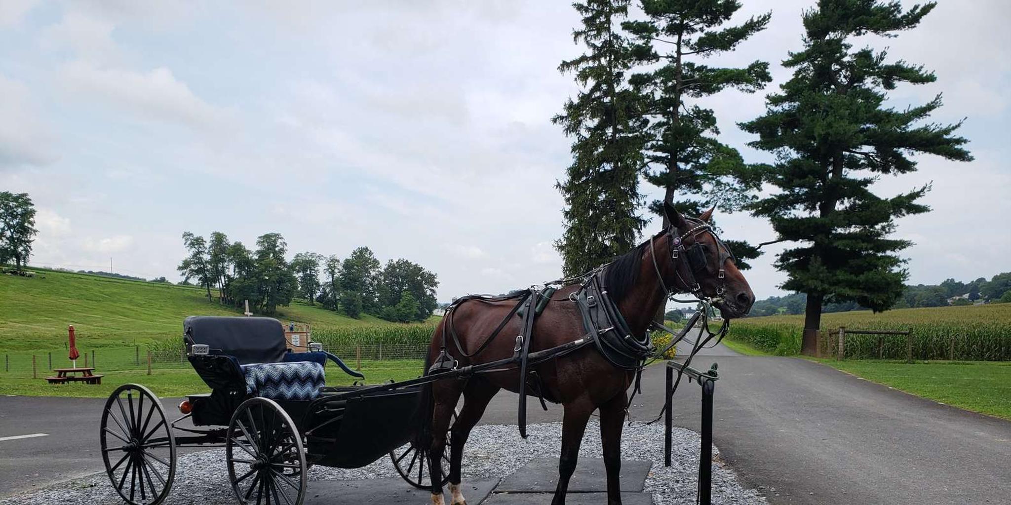 Lancaster Downtown & Amish Country Tour - Image 2