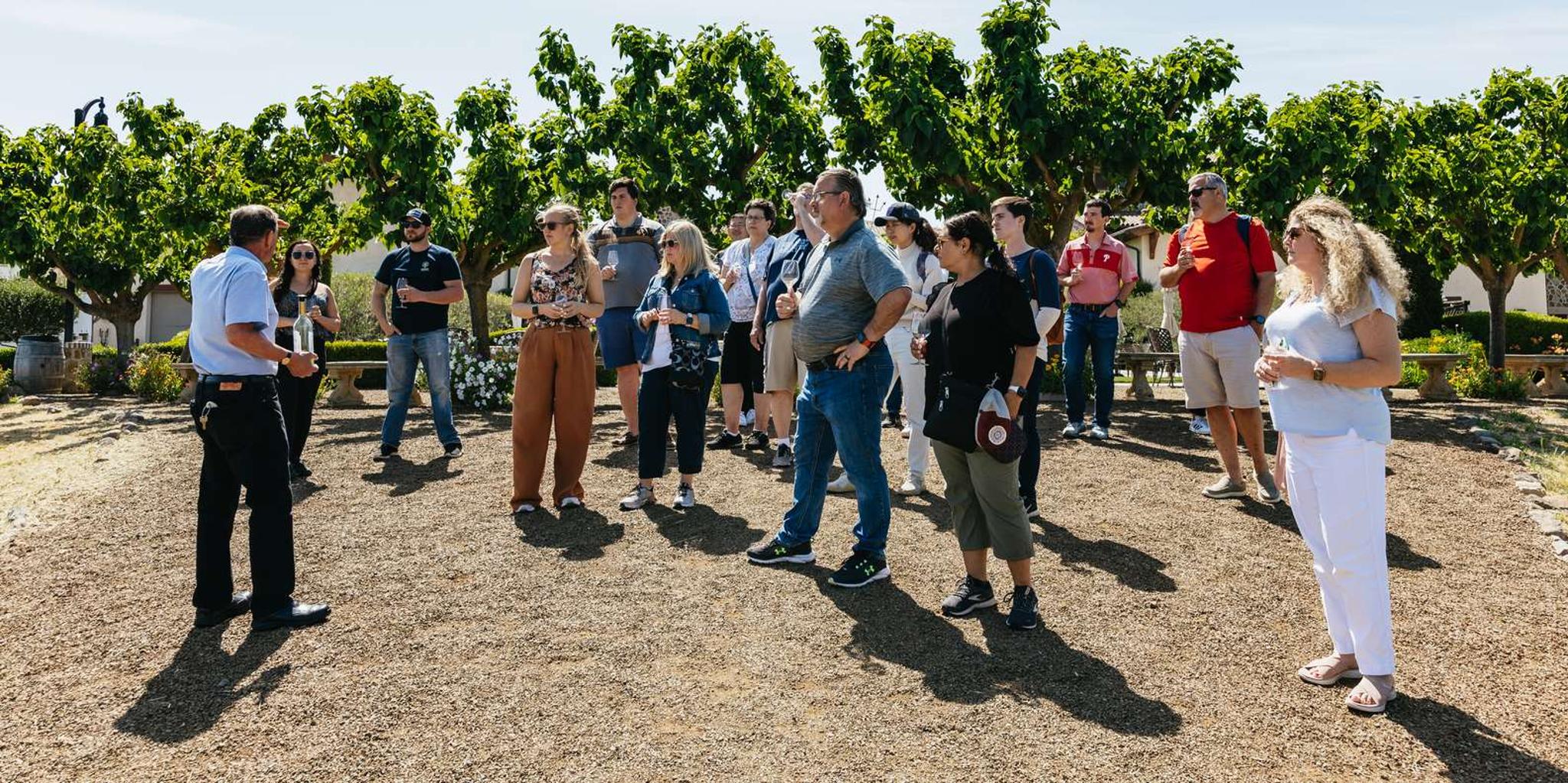 San Francisco Muir Woods and Wine Country Tour - Image 3
