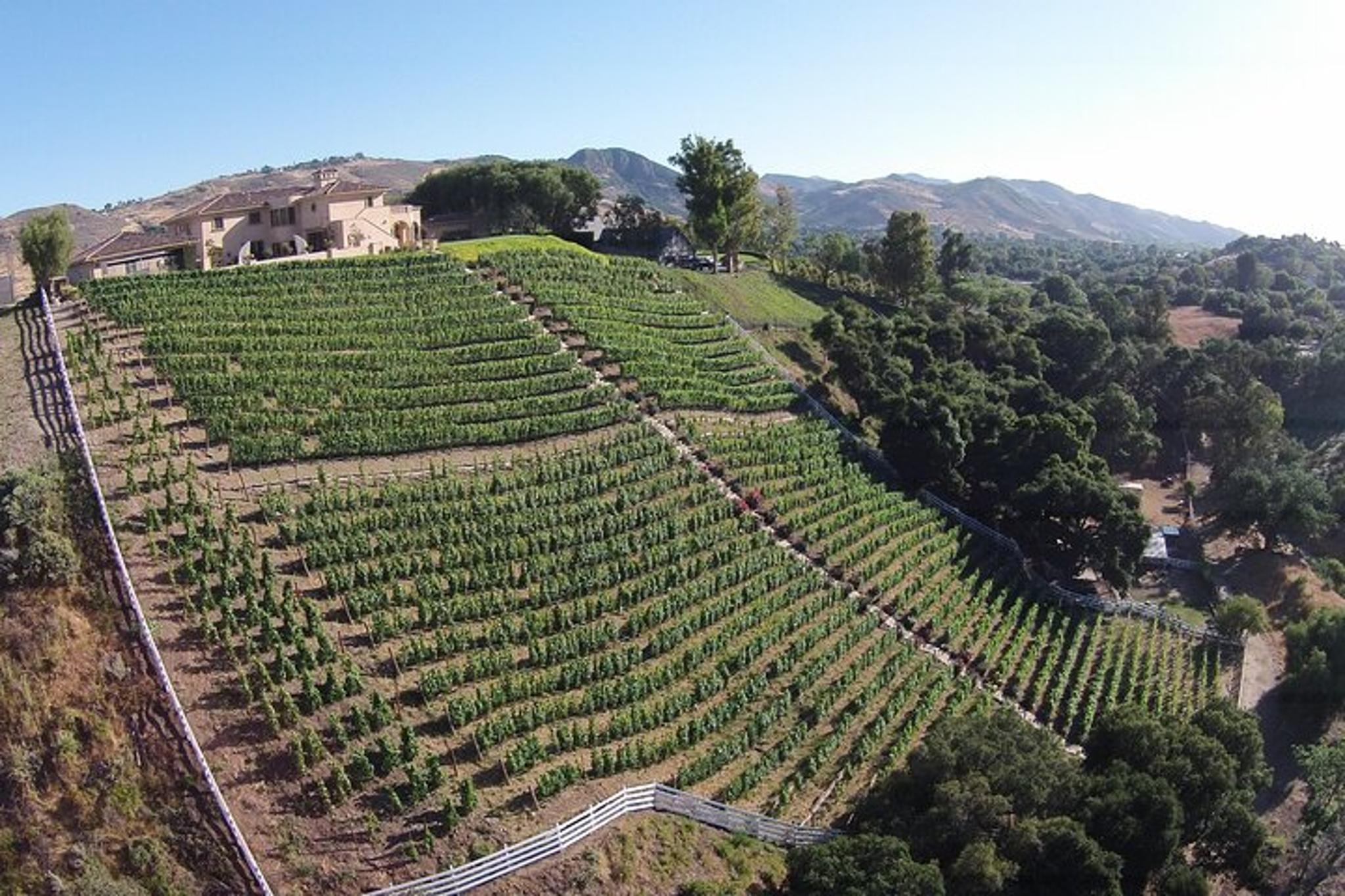 Paso Robles Wine Tasting Flight