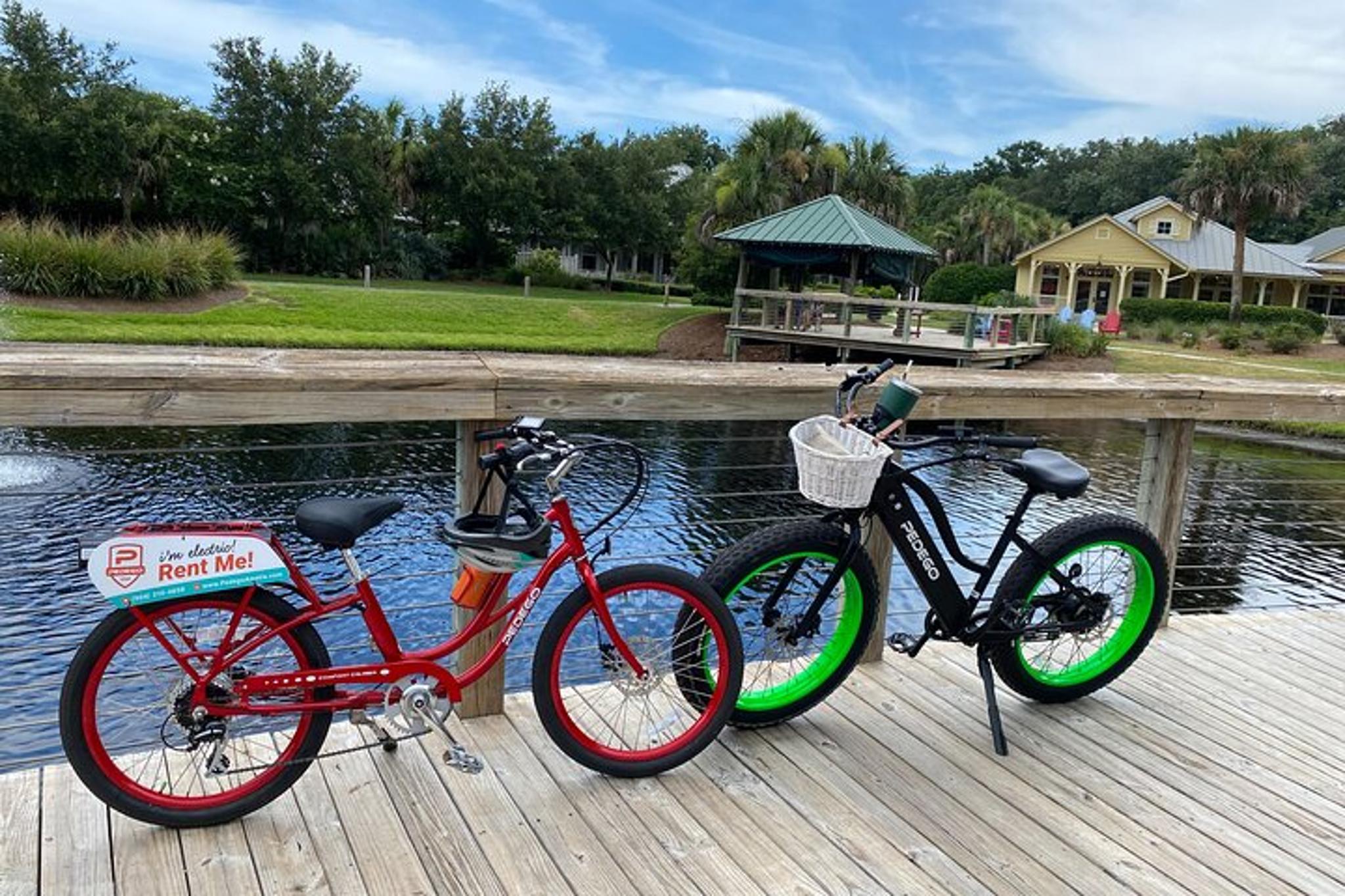 Amelia Island Electric Bike Tour - Image 3