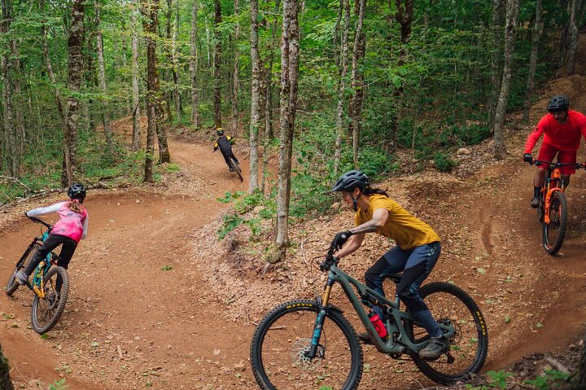 Maui Mountain Bike Tour on Haleakala Trails