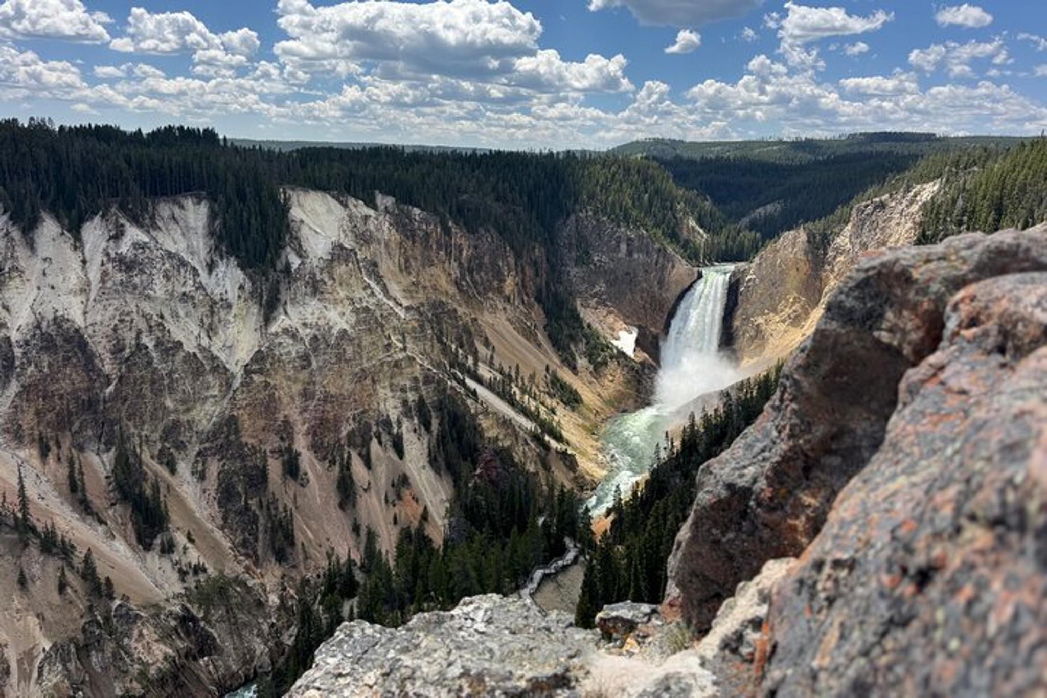 Yellowstone Lower Loop Wildlife & Hot Springs Tour