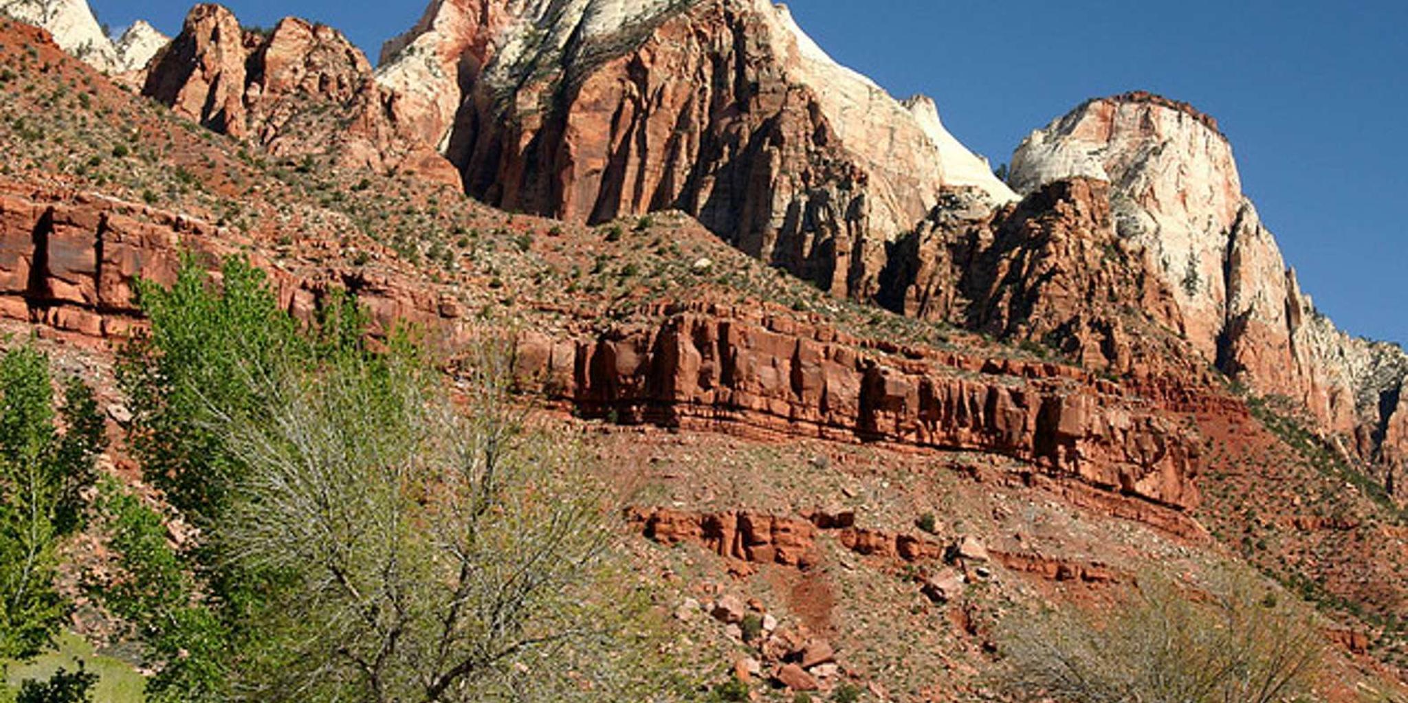 Las Vegas Zion National Park Day Tour - Image 5