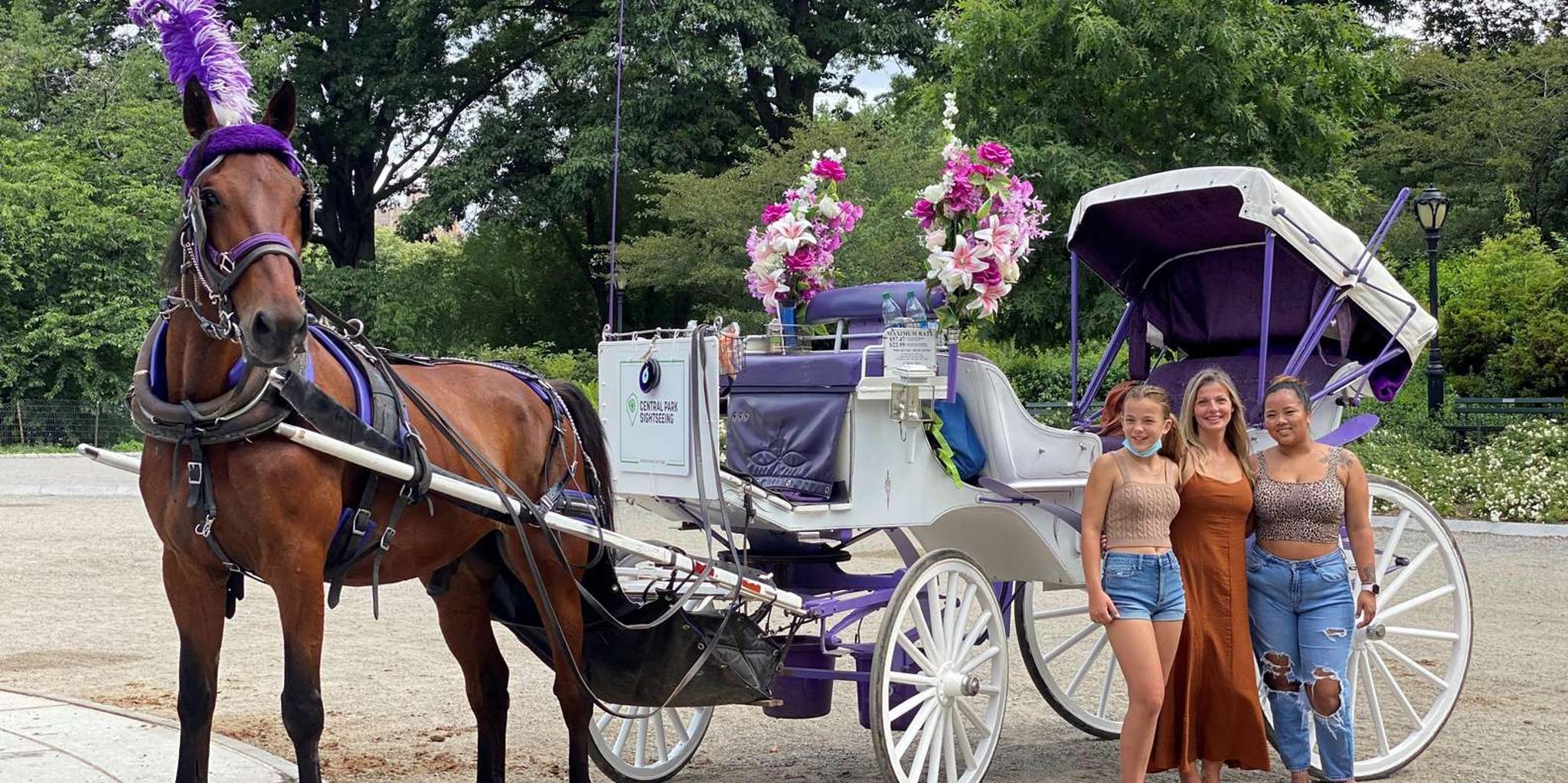 New York City Central Park Horse Carriage Ride