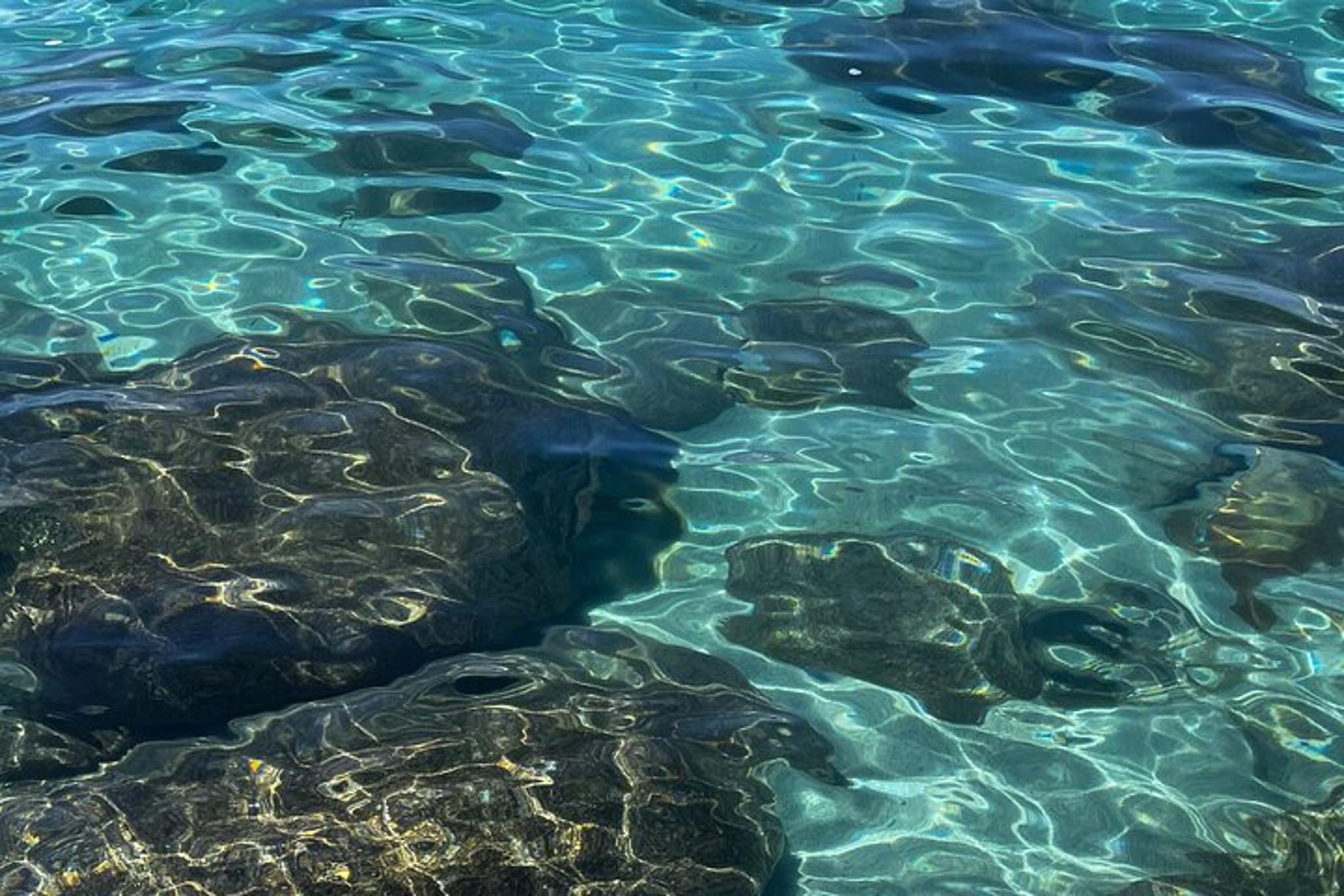 Lake Tahoe Clear Kayak Adventure - Image 6