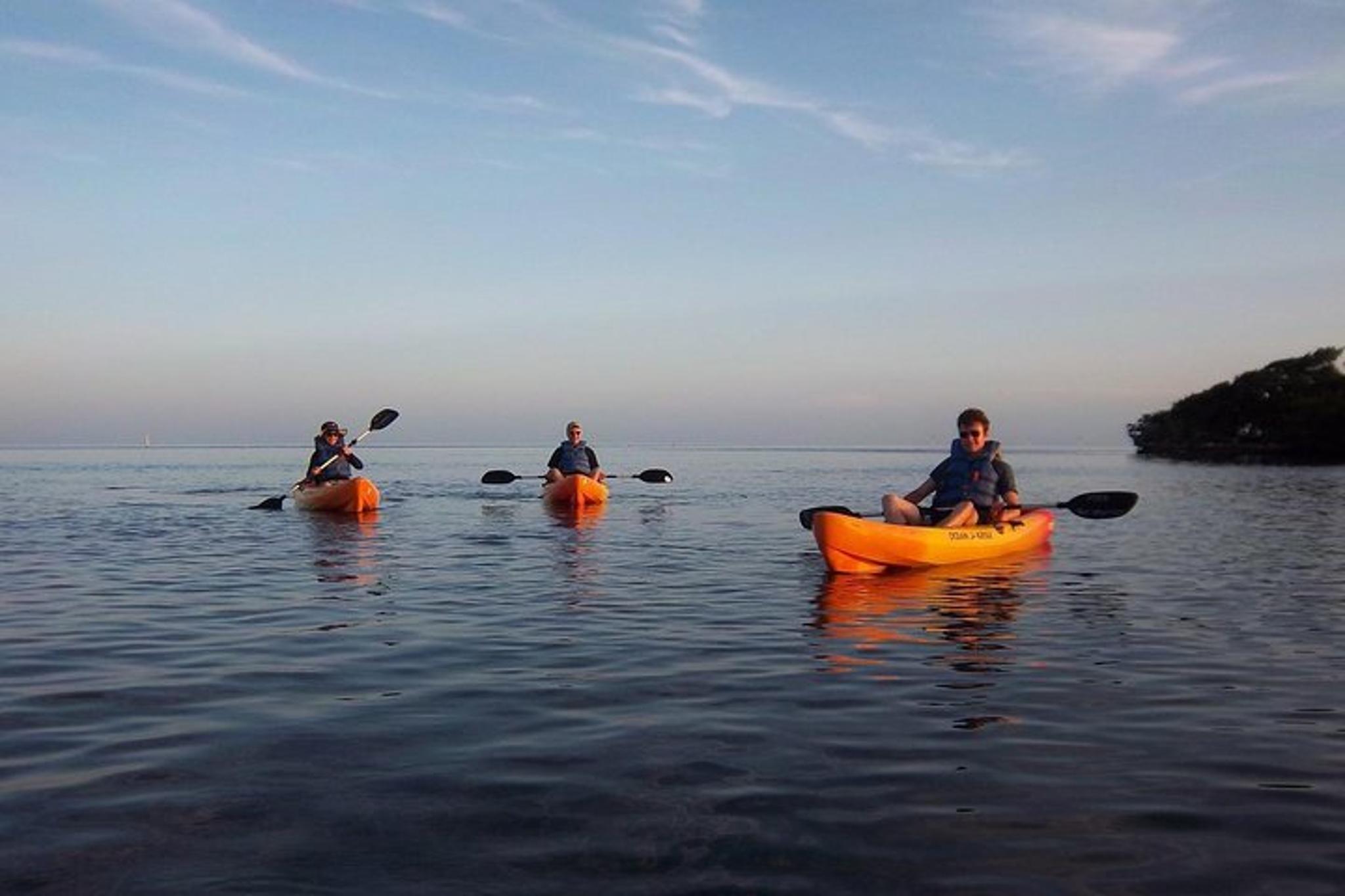 Key Largo Mangrove SUP/Kayak Rental - Image 4