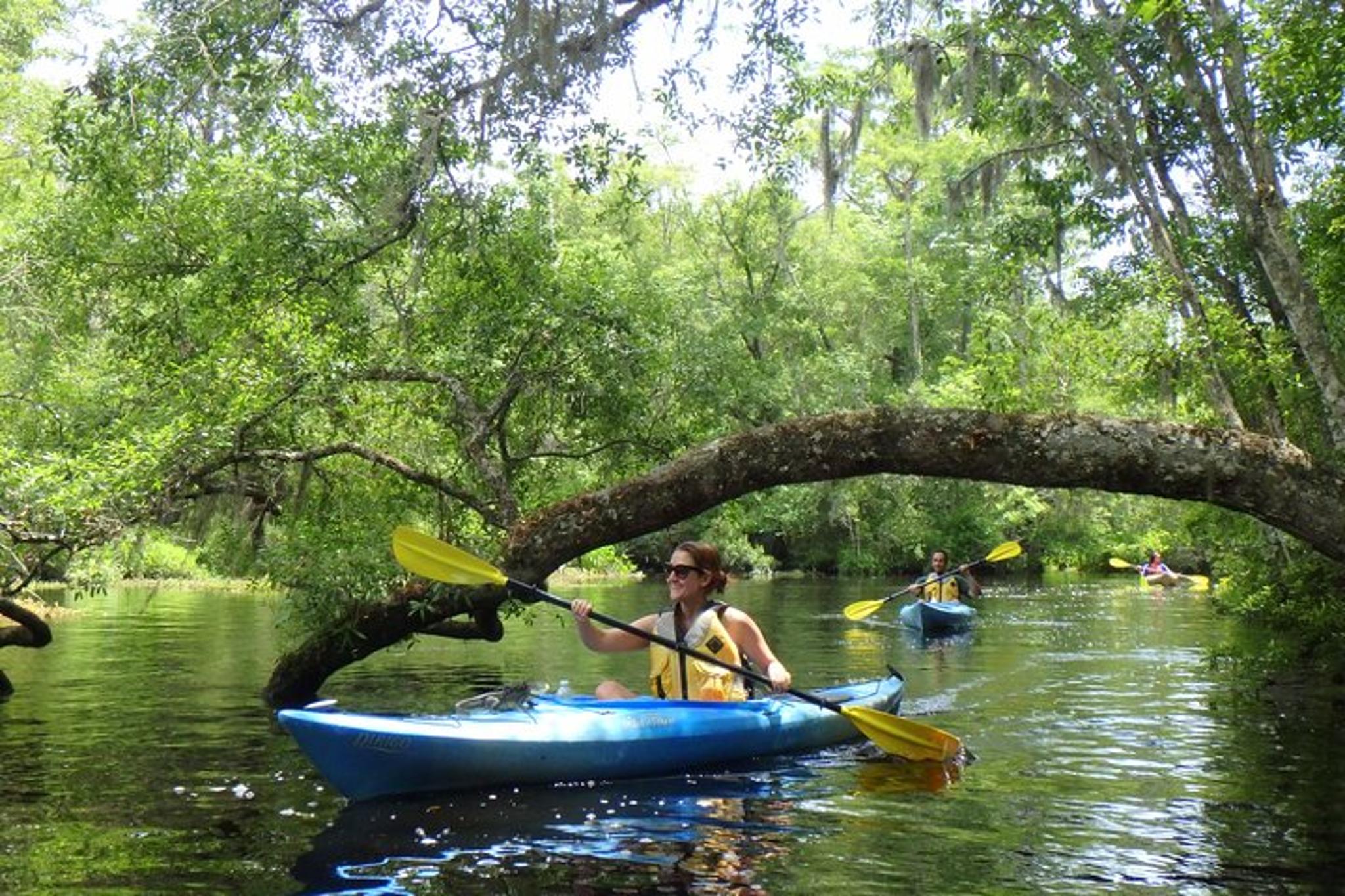 Amelia Island Kayak Rental Experience - Image 2
