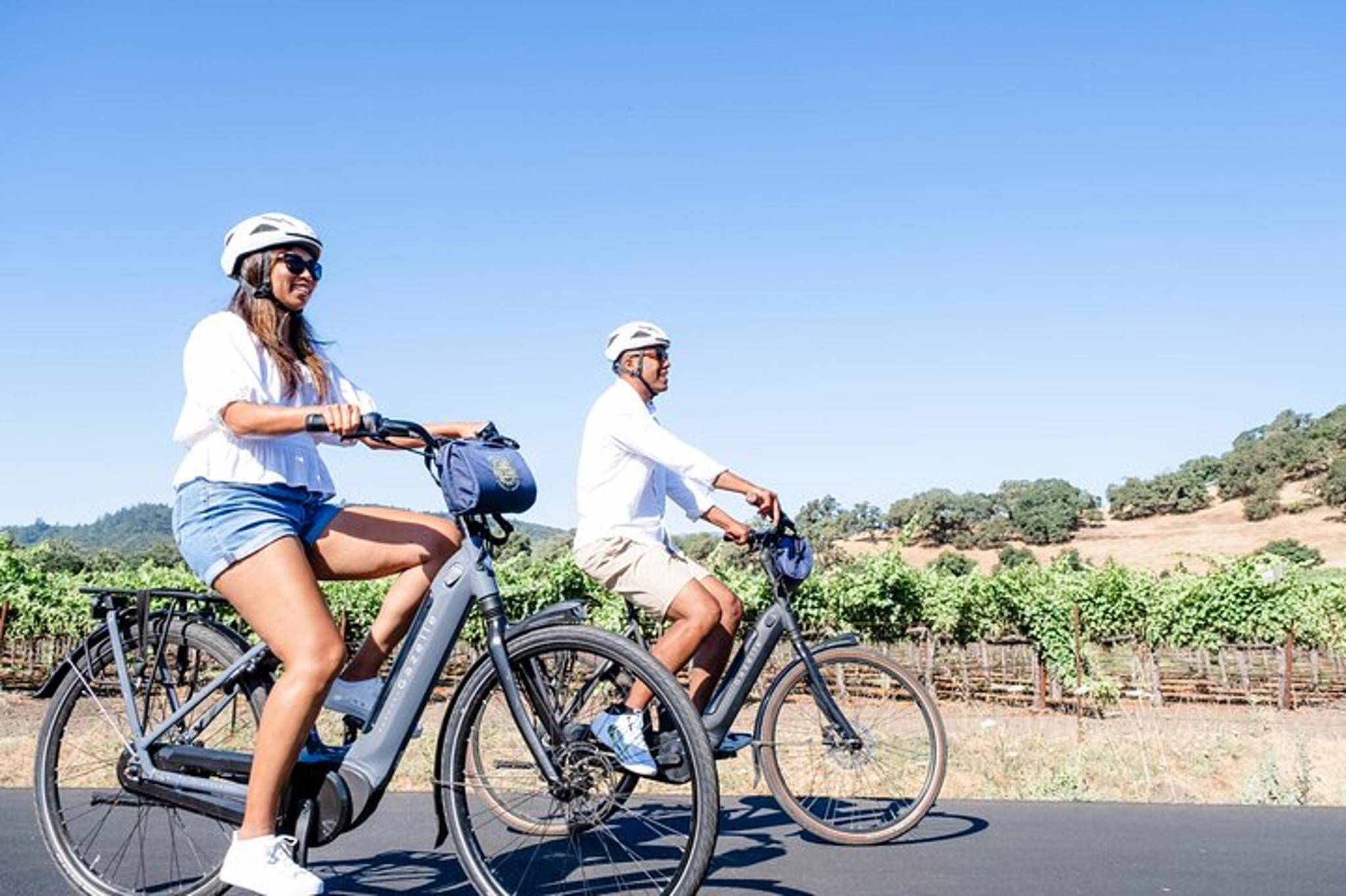Napa Winery E-Bike Tour - Image 2