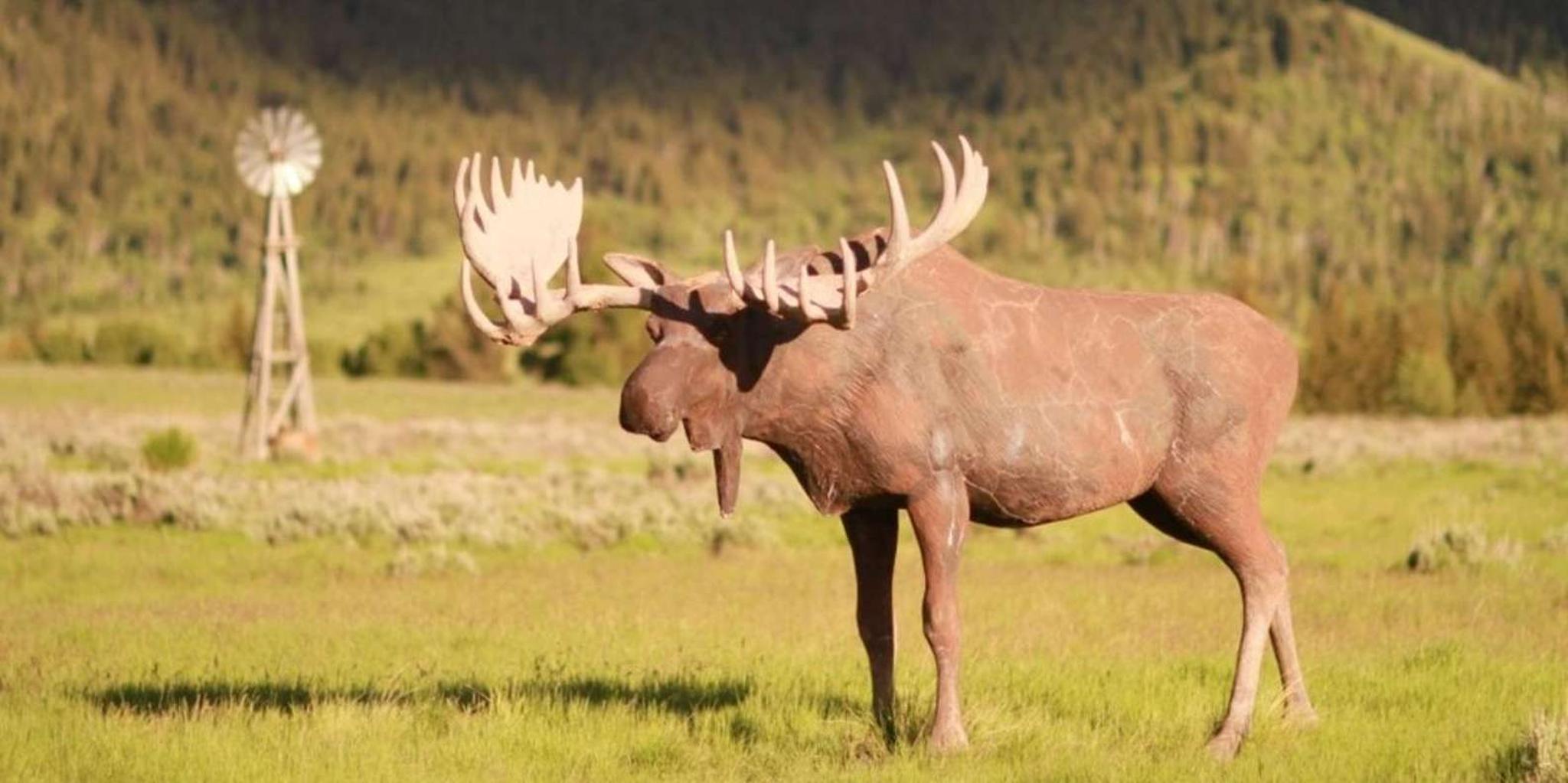 Jackson Hole Horseback Tour with Breakfast - Image 2
