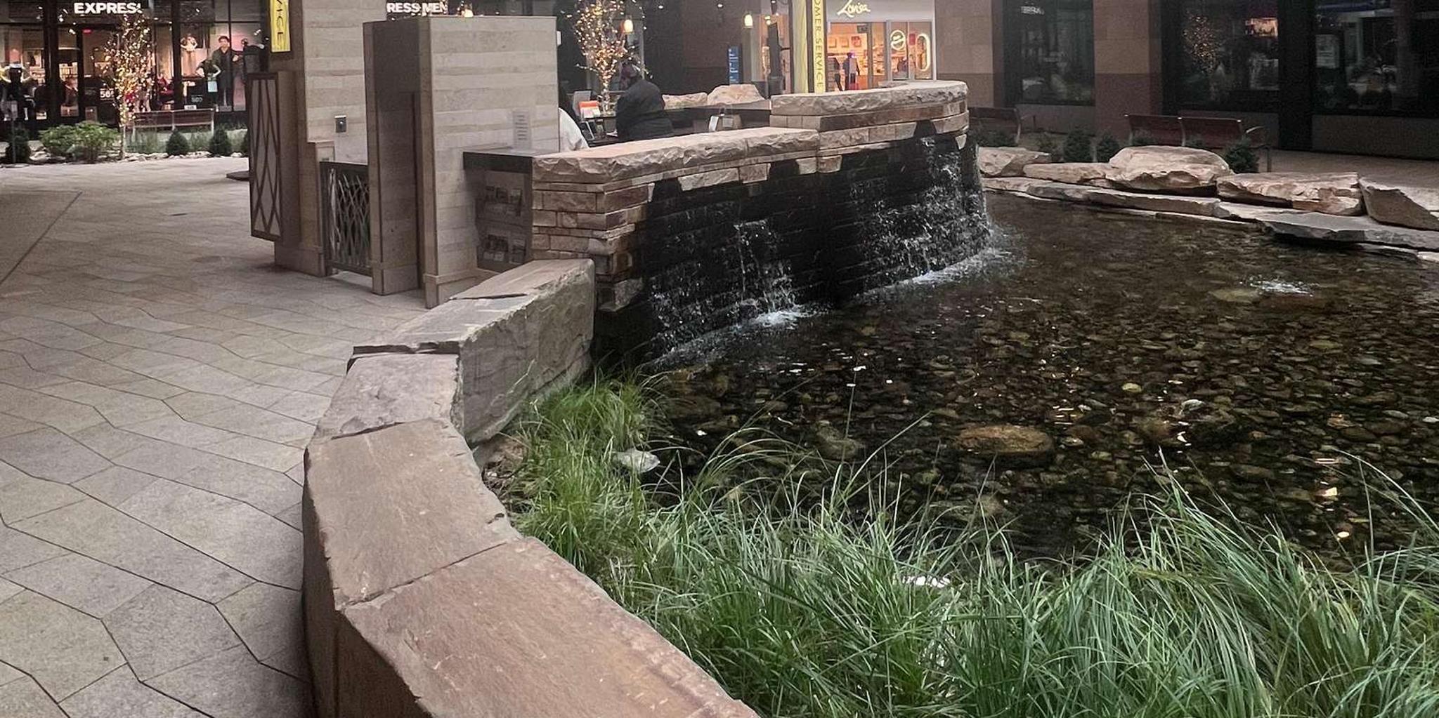 Salt Lake City Guided Highlights Tour - Image 6