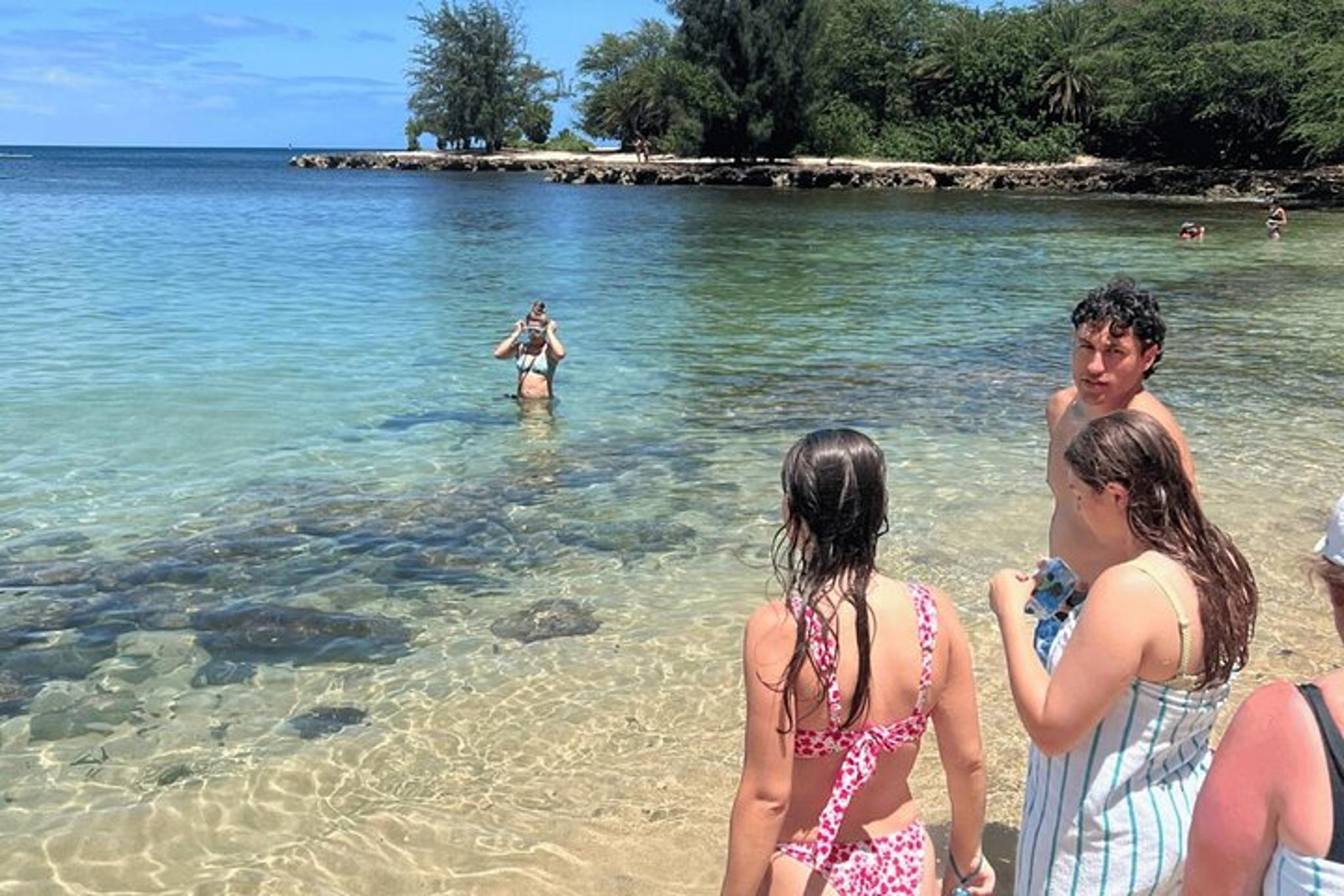 Oahu Circle Island Tour with Turtle Snorkeling - Image 6