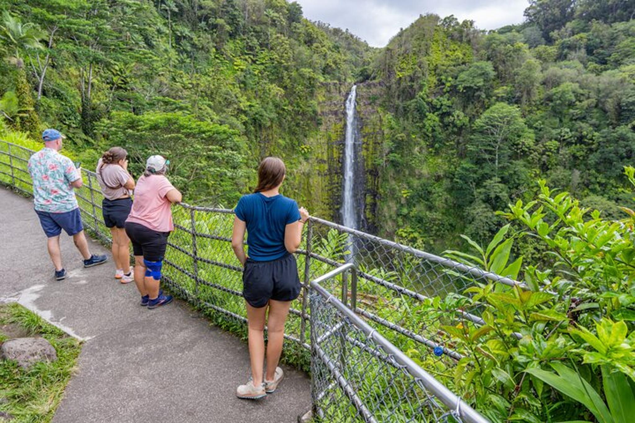 Big Island Volcano and Waterfalls Tour - Image 3
