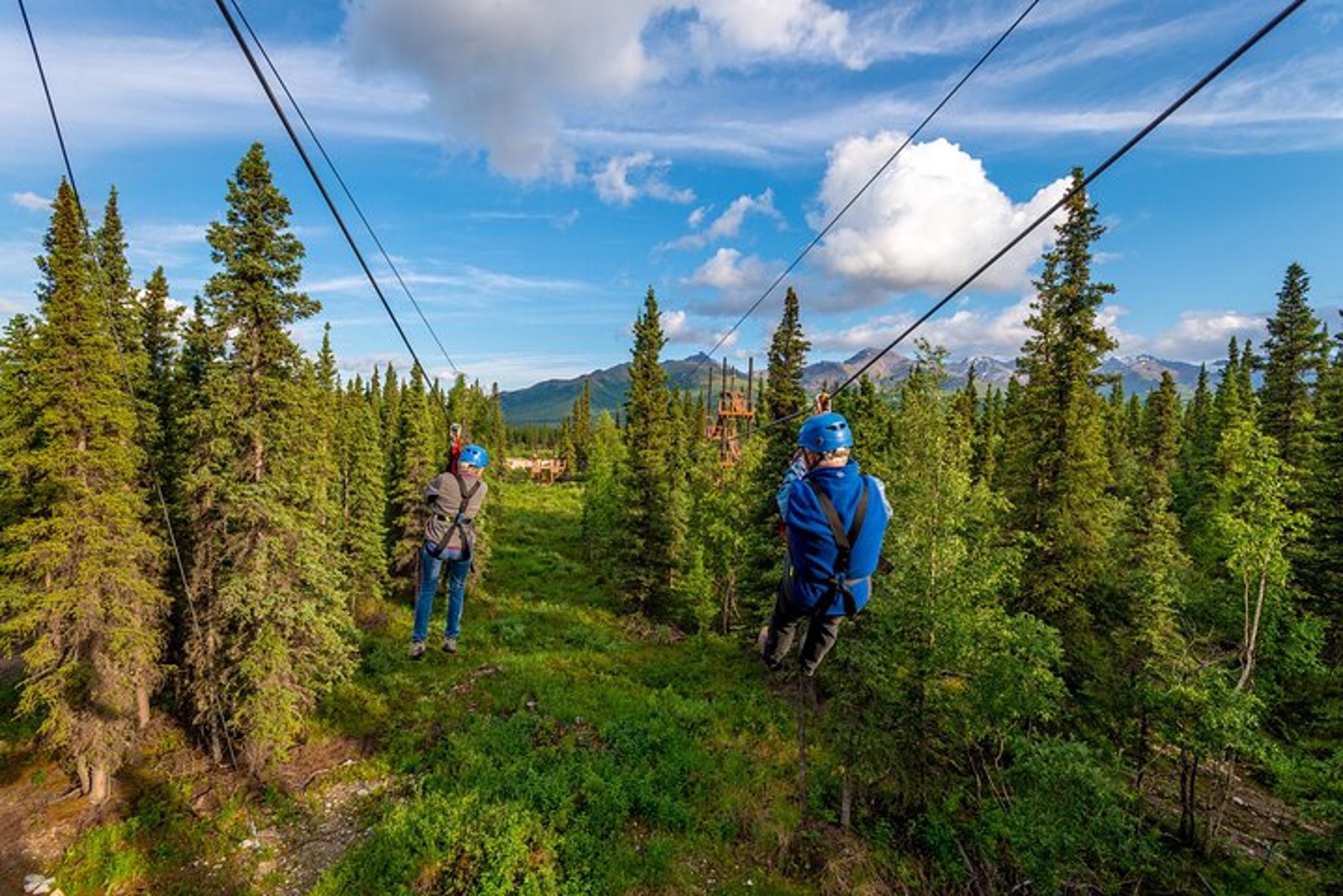 Denali Zipline and Brewpub Visit Half-Day Adventure - Image 2