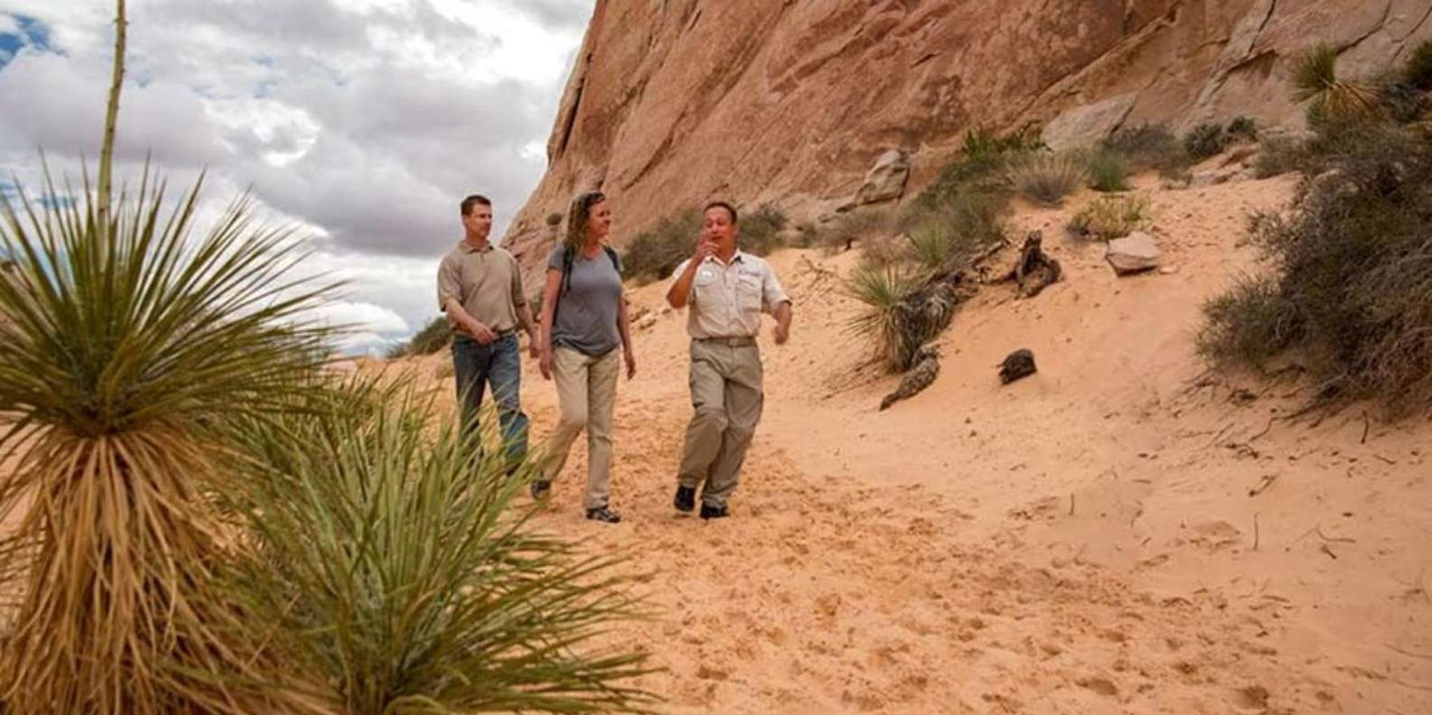 Las Vegas Hoover Dam and Valley of Fire Tour - Image 4