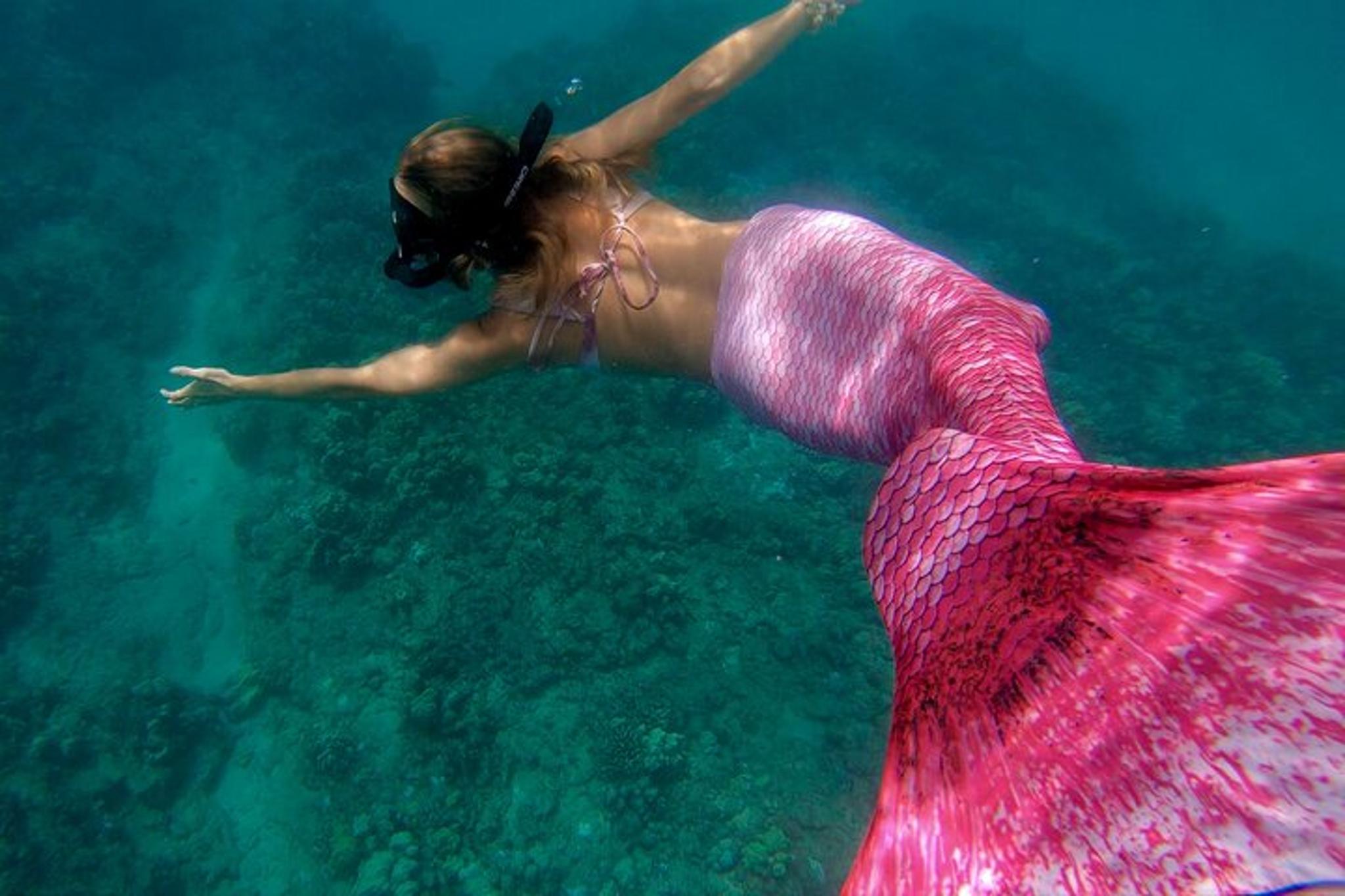 West Palm Beach Mermaid Snorkel Experience - Image 4