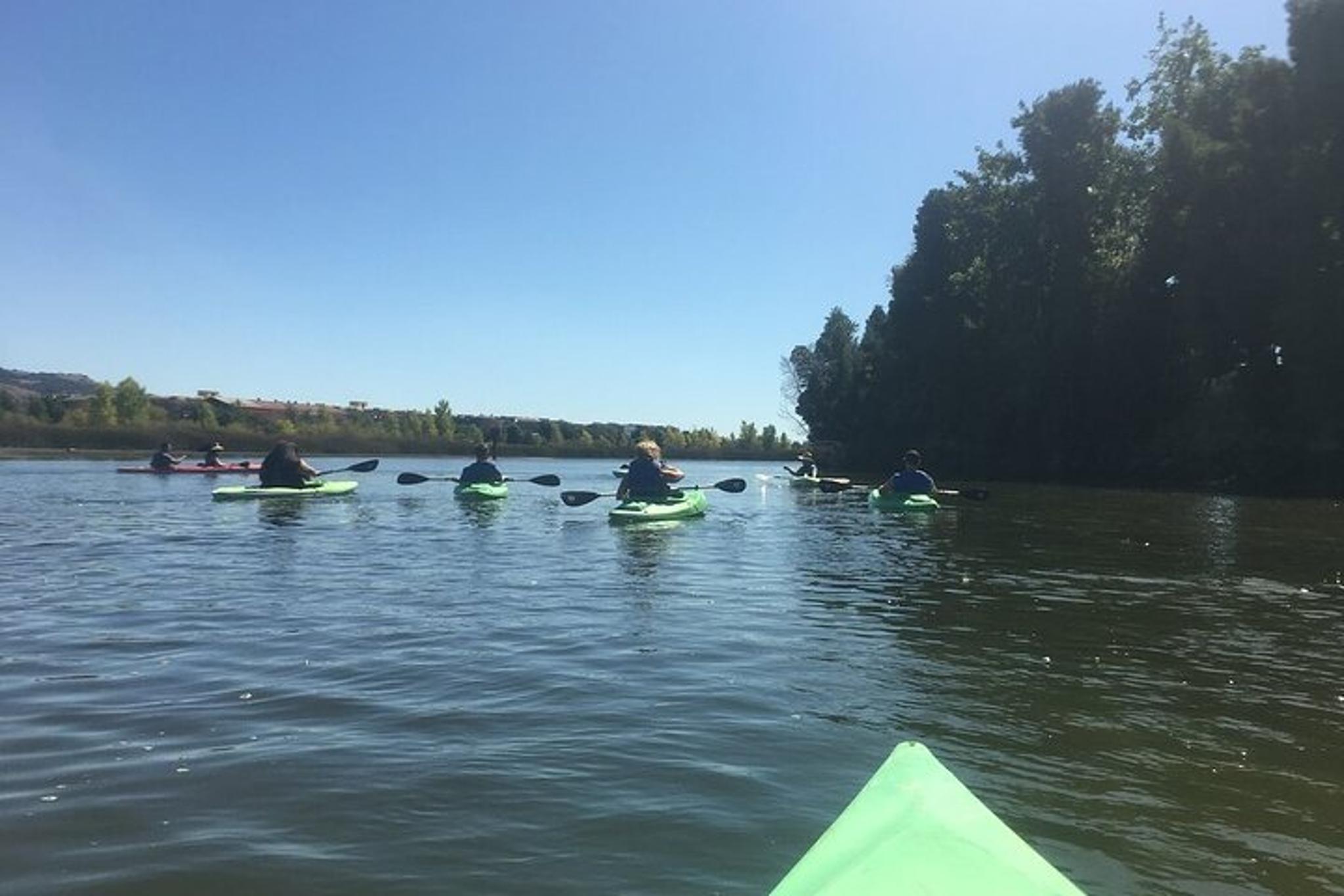 Napa Valley River History Kayak Tour - Image 2