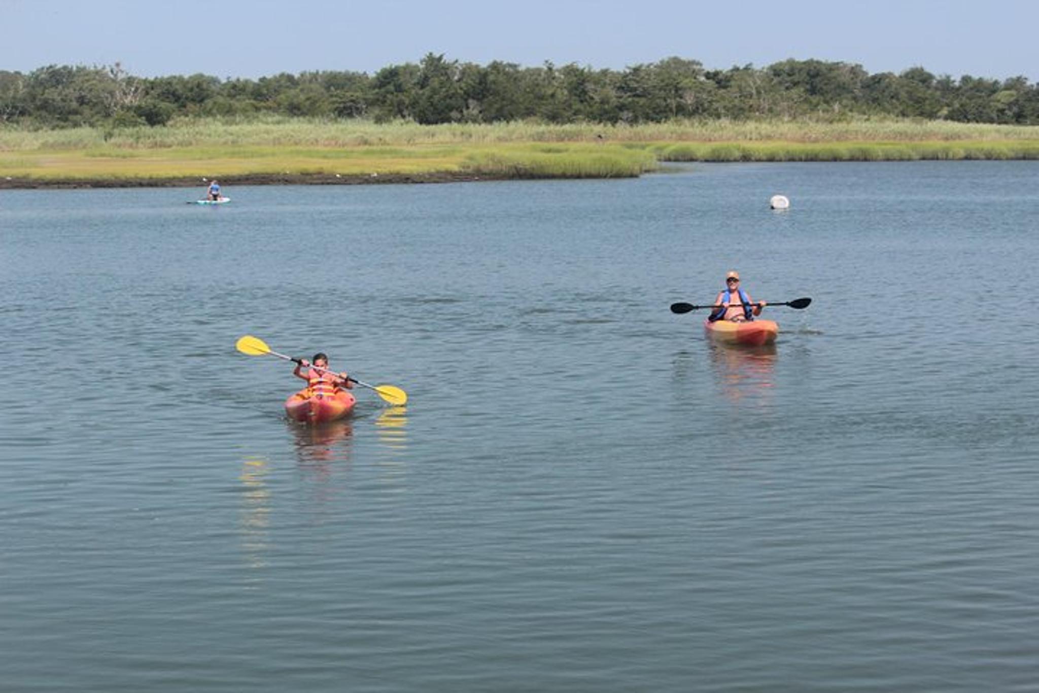Cape May Kayak Rental - Image 2