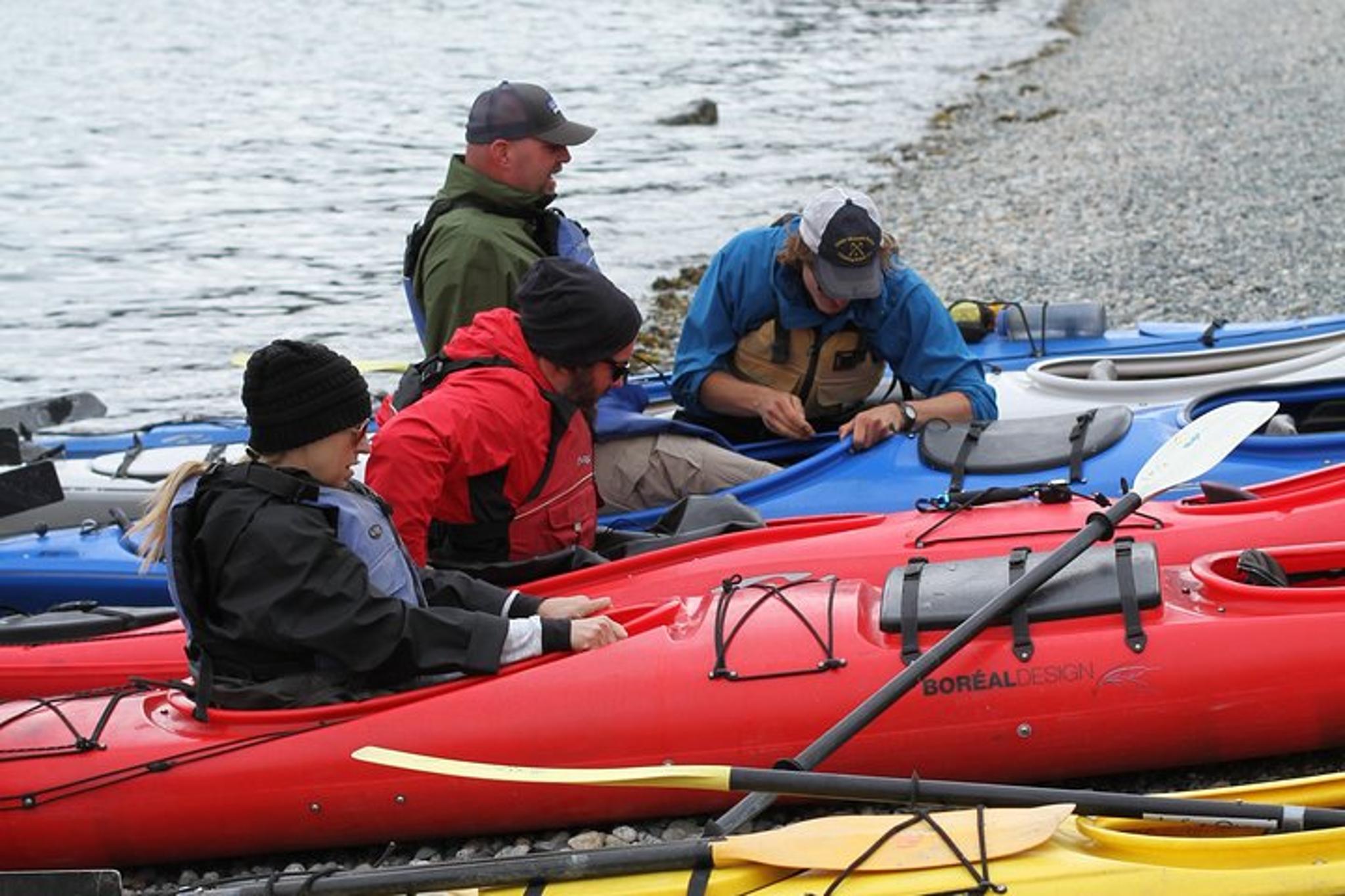 Skagway Sea Kayaking Adventure - Image 6