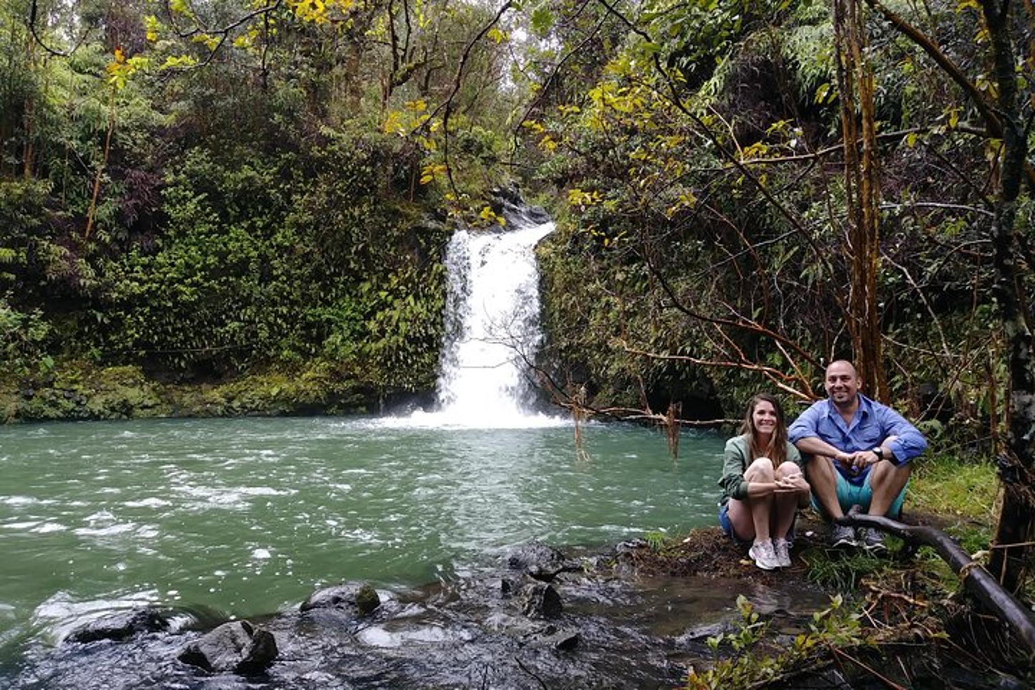 Maui Waterfall Hiking Tour in Private Jeep - Image 6