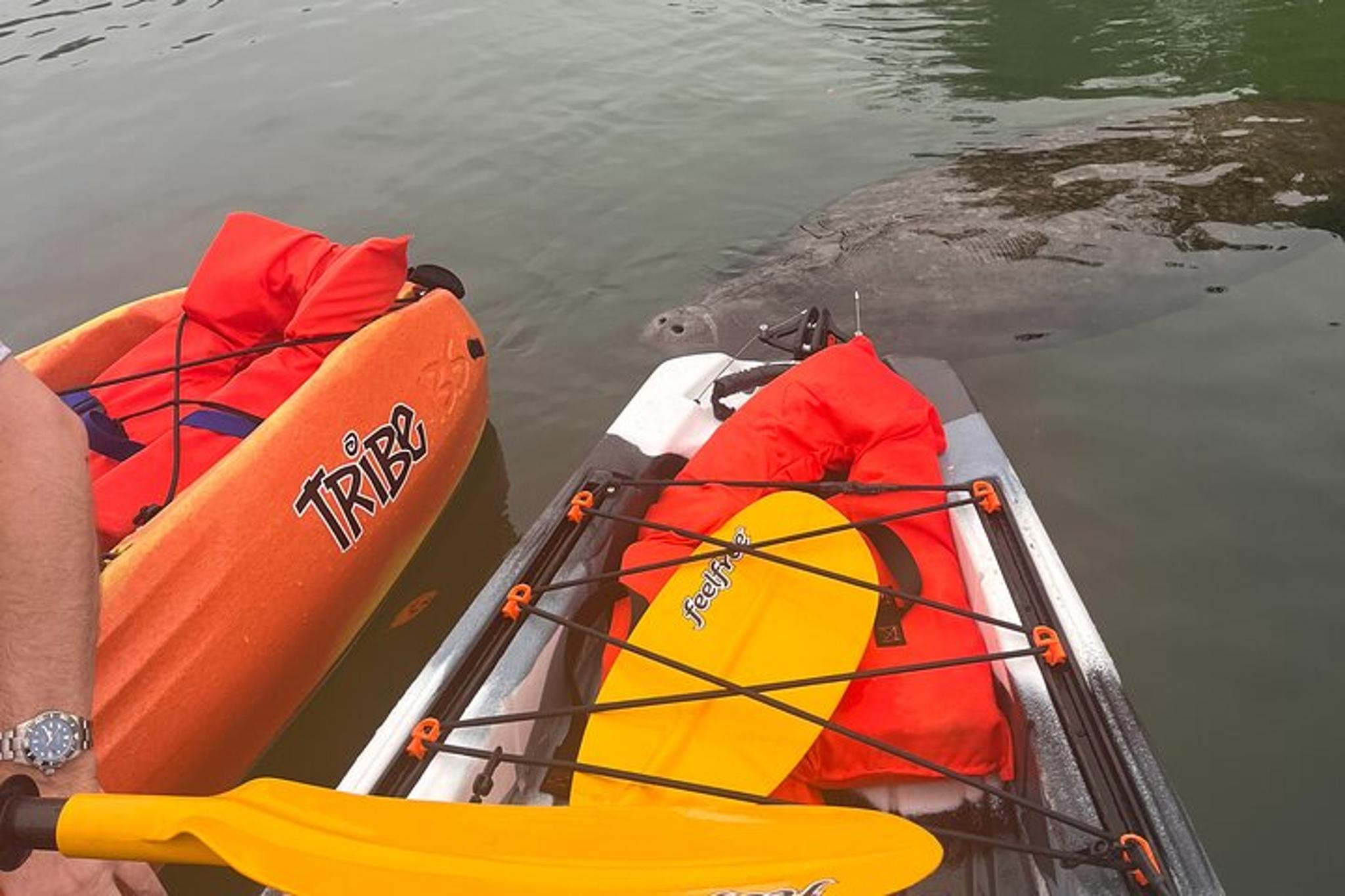 Crystal River Tandem Kayak Adventure - Image 3