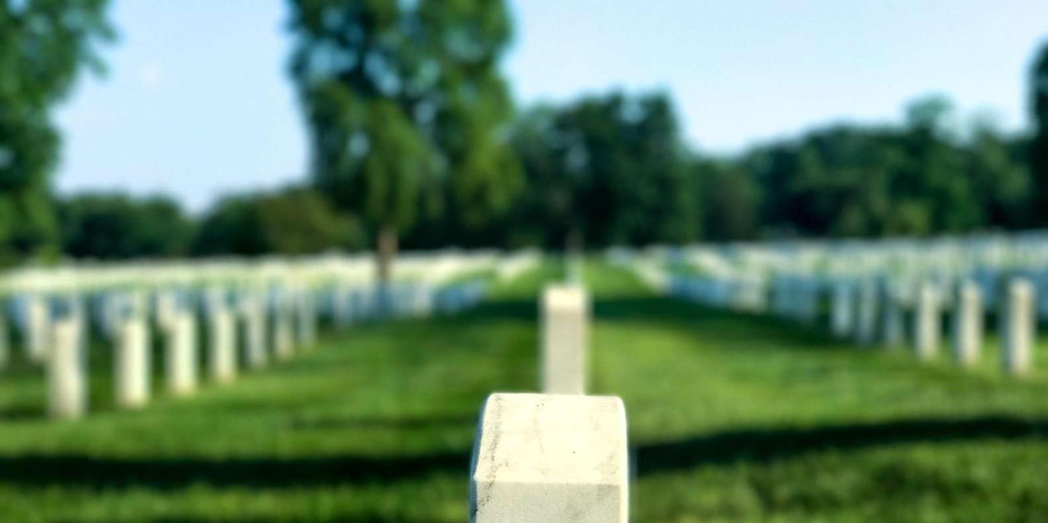 Arlington Cemetery Private Guided Walking Tour - Image 2