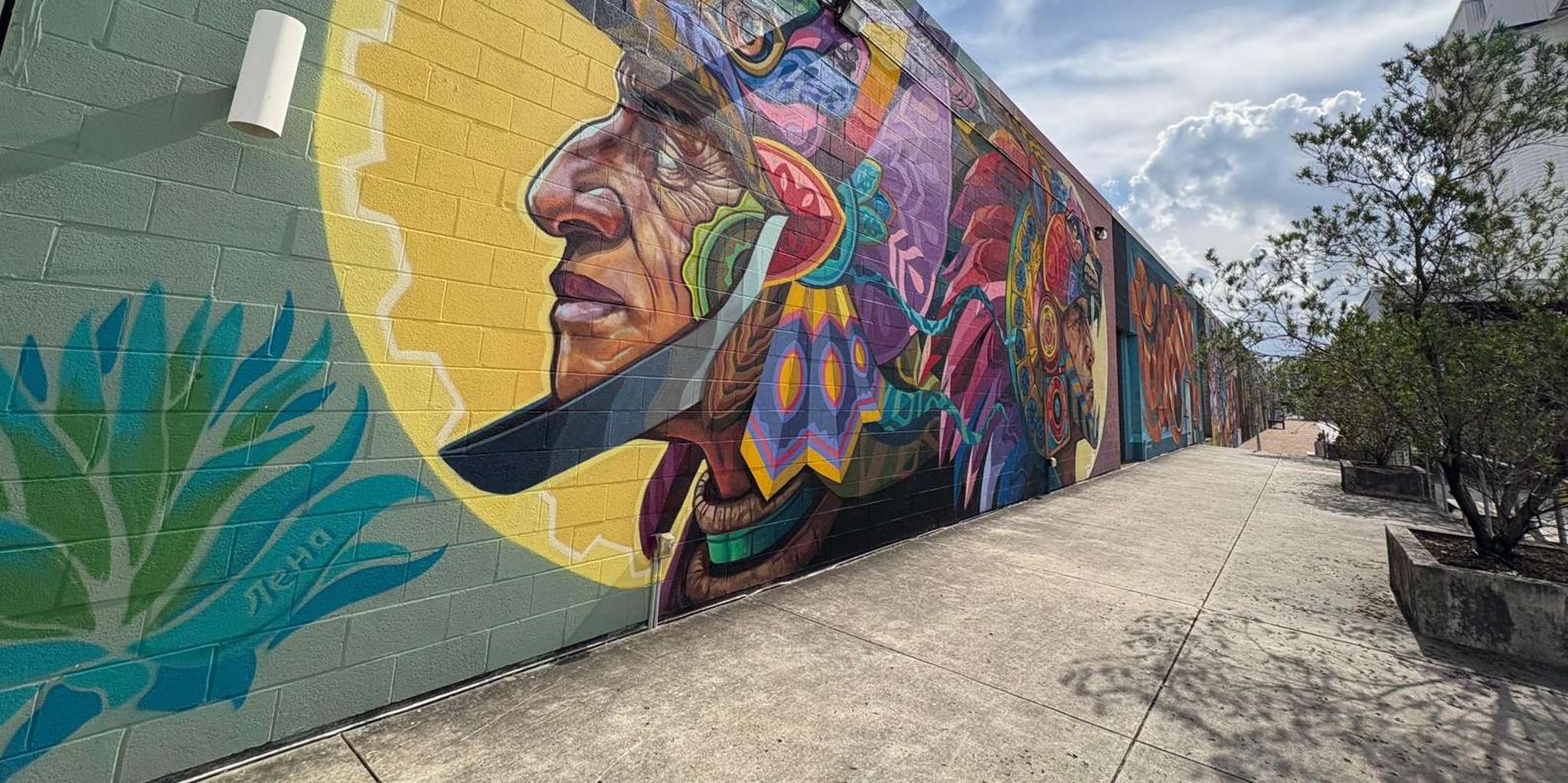 Houston Mural Tour by Electric Cart - Image 4
