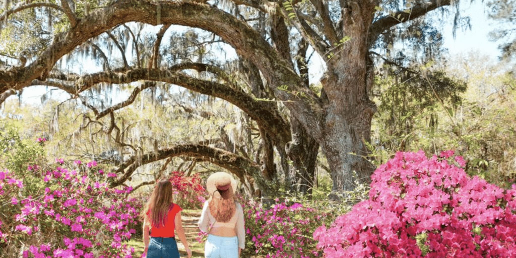 Charleston Historic City Tour and Magnolia Plantation