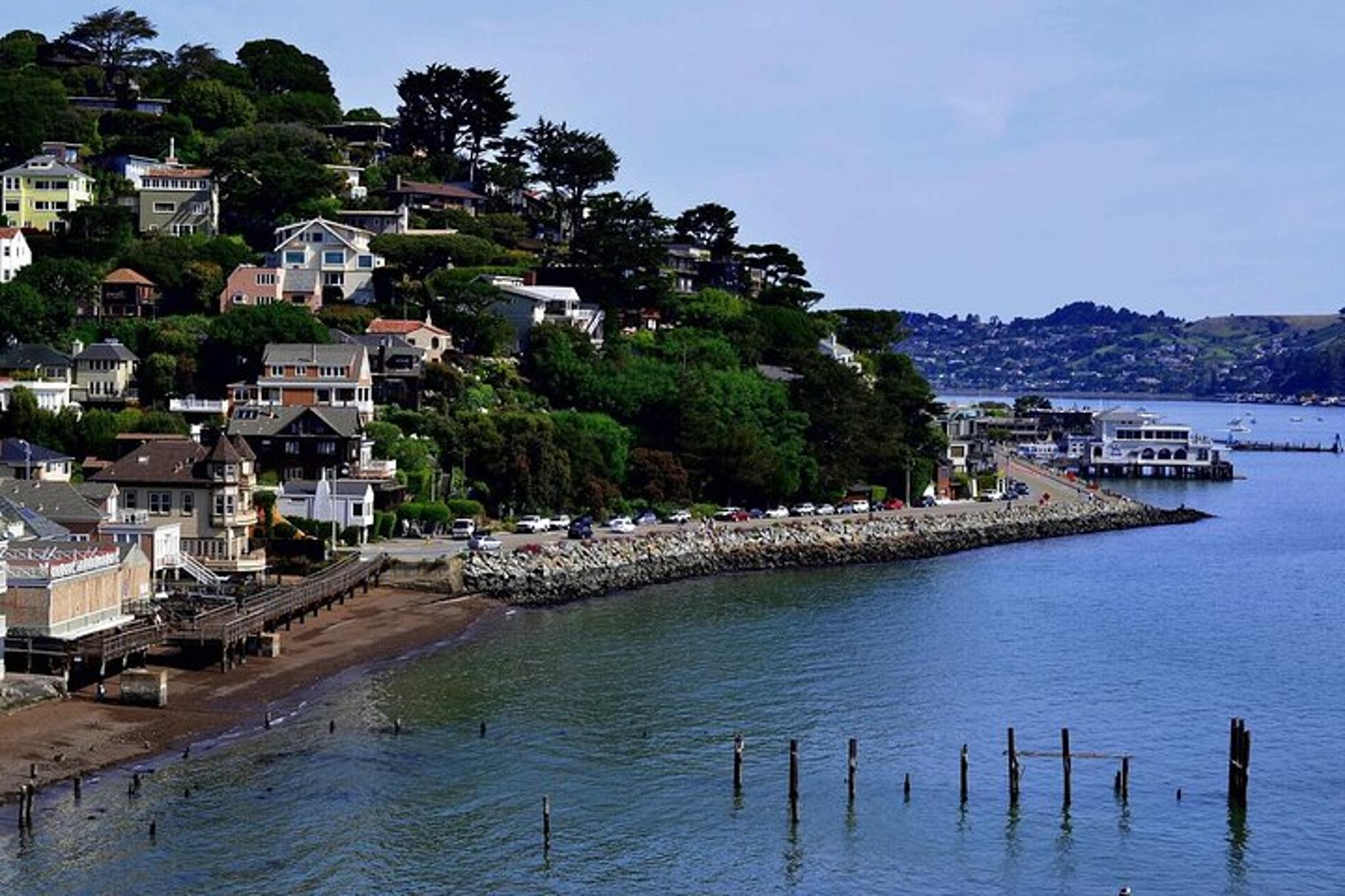 San Francisco Muir Woods and Sausalito Tour - Image 6