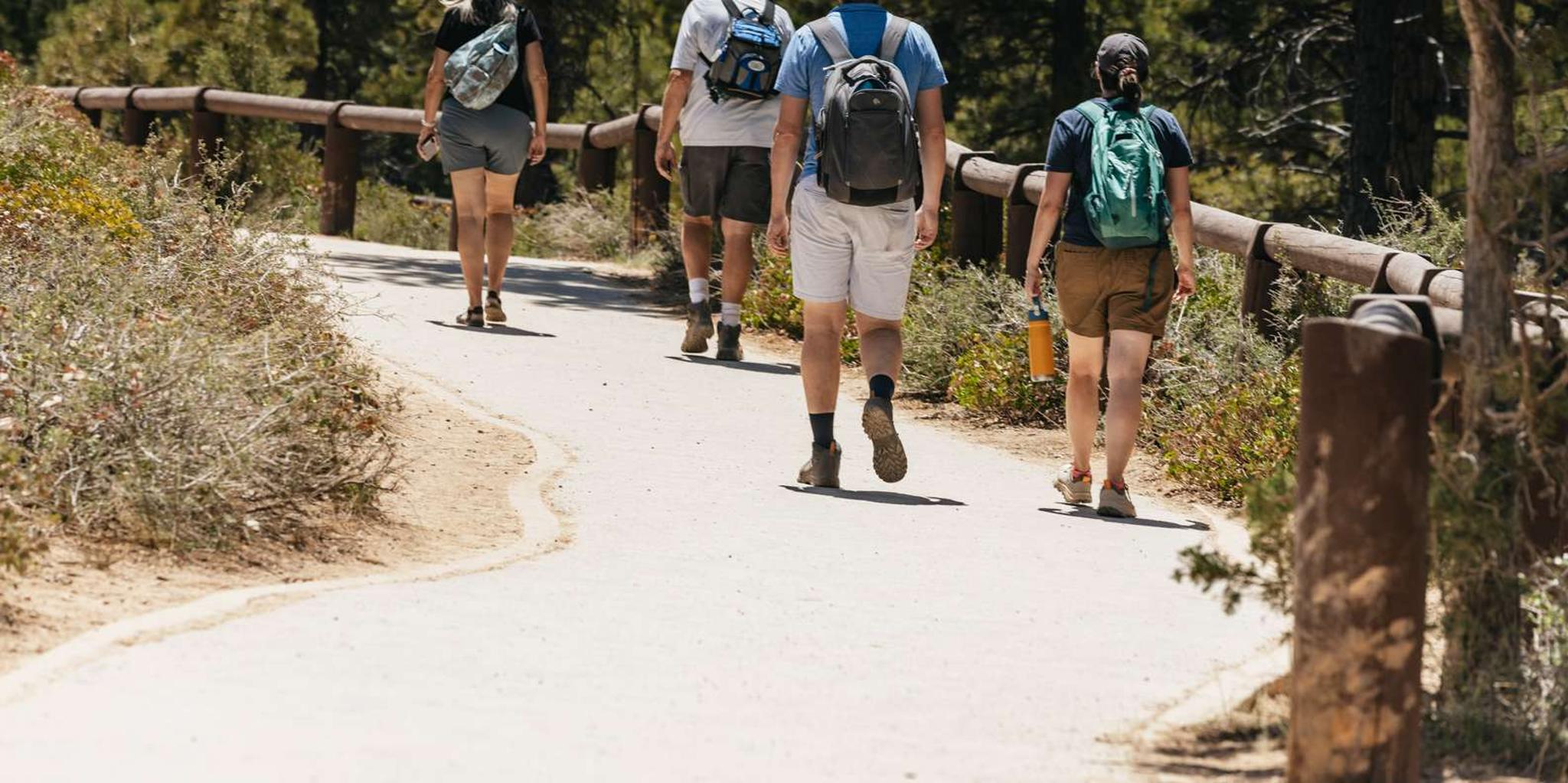 Las Vegas Bryce Canyon and Zion National Parks Tour - Image 5