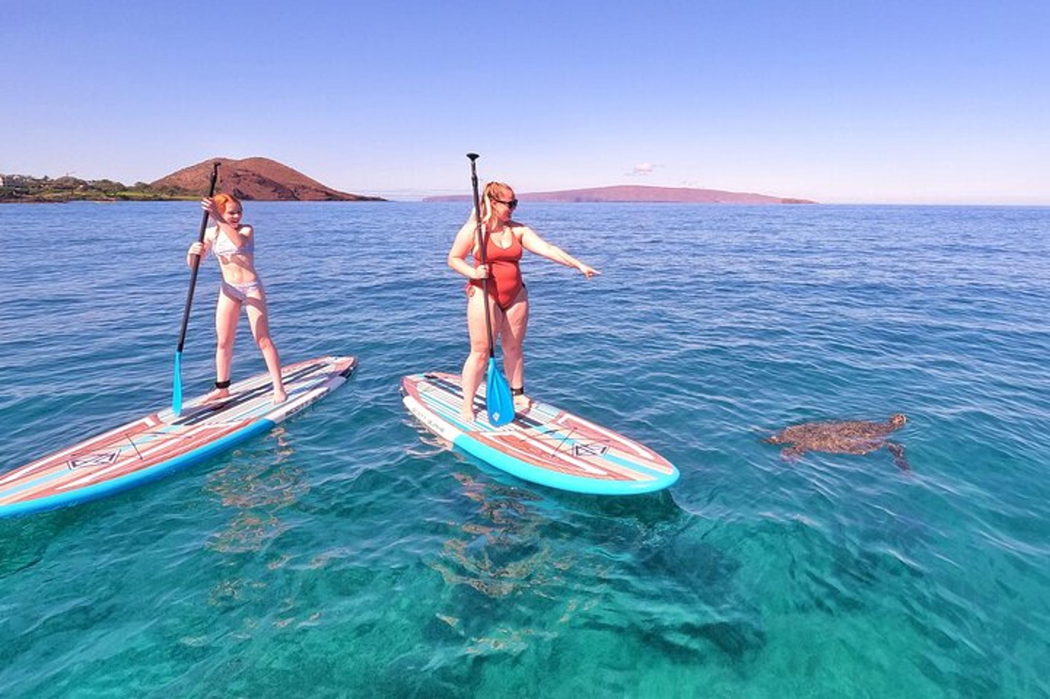 Maui Stand Up Paddle Boarding Tour in Turtle Town - Image 4