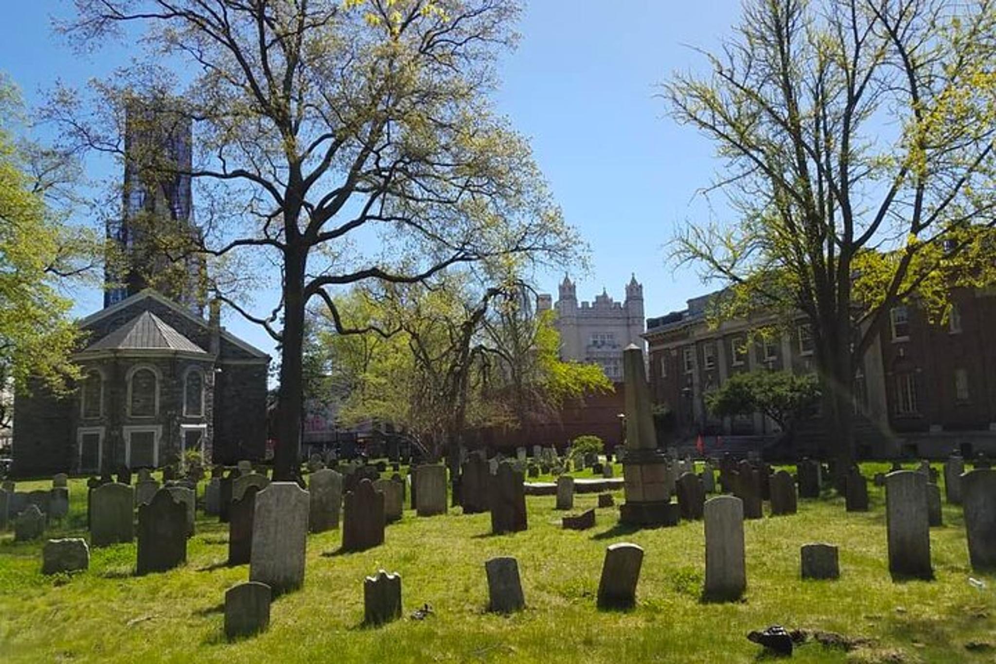 Brooklyn Victorian Flatbush Private Tour 2 hr - Image 3