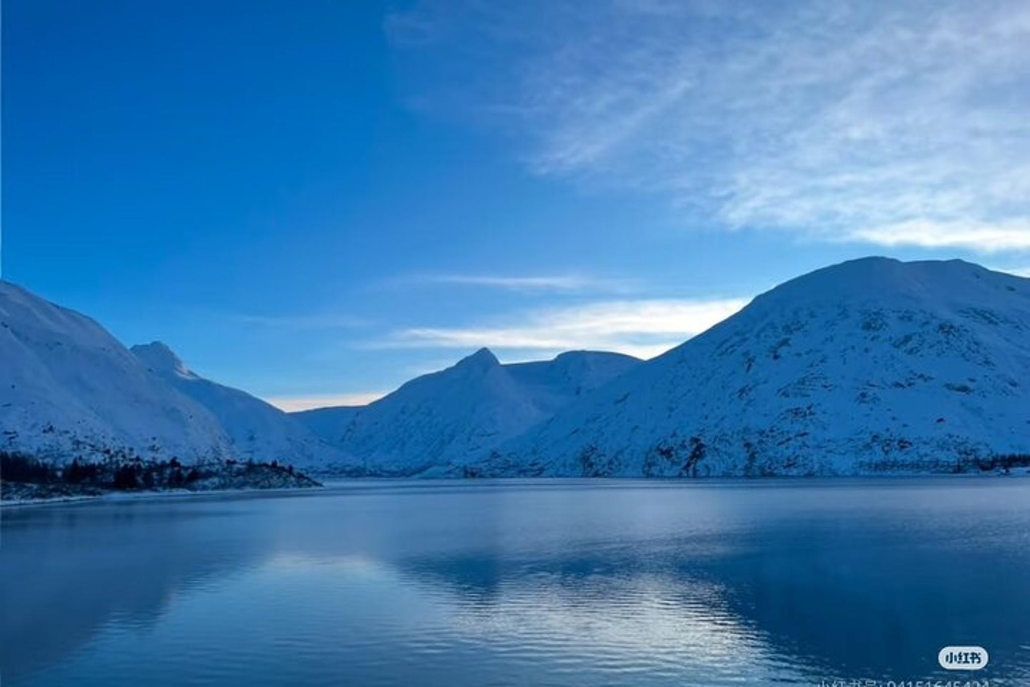 Whittier Guided Tour with Anchorage Drop-off - Image 4