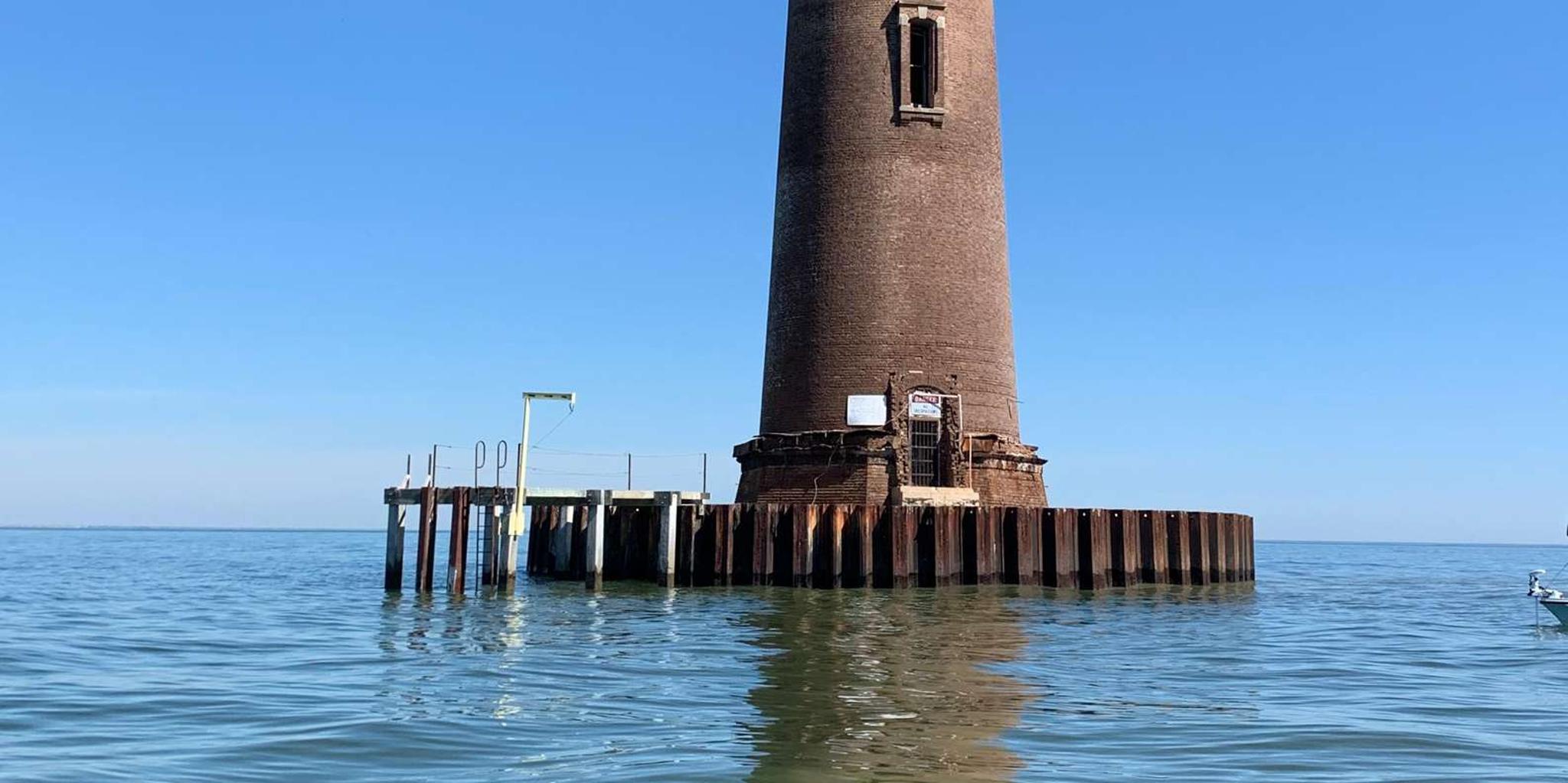 Folly Beach Dolphin and Morris Island Cruise 2 hr - Image 6