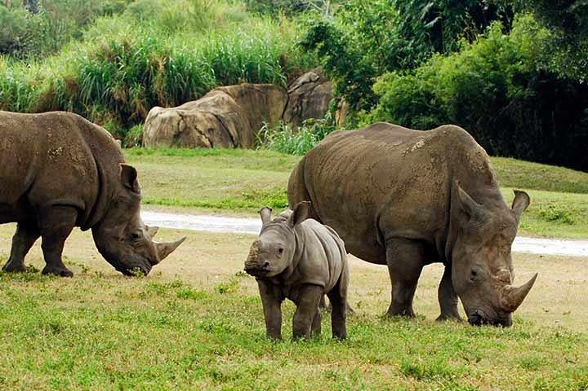 Tampa Bay CityPASS - Image 4