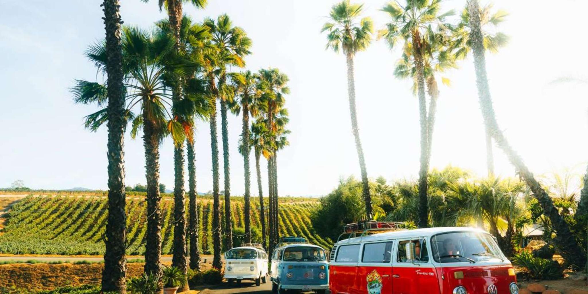 Temecula VW Bus Wine Tour - Image 1