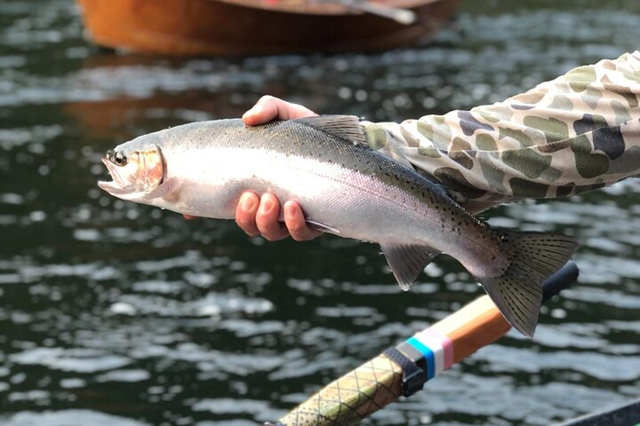 Rogue River Fishing and Rafting Experience - Image 6