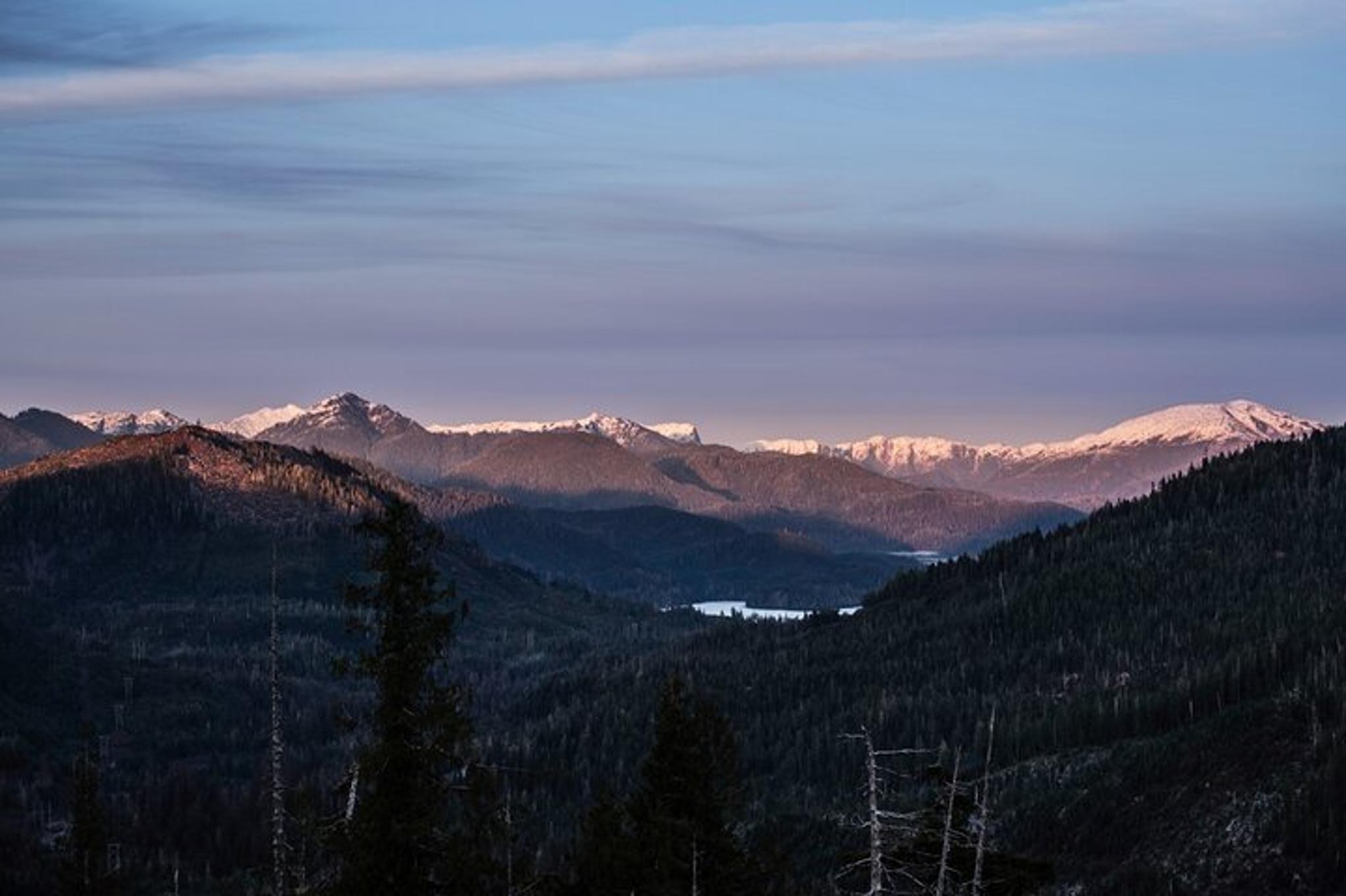 Ketchikan Backcountry Driving Tour - Image 3