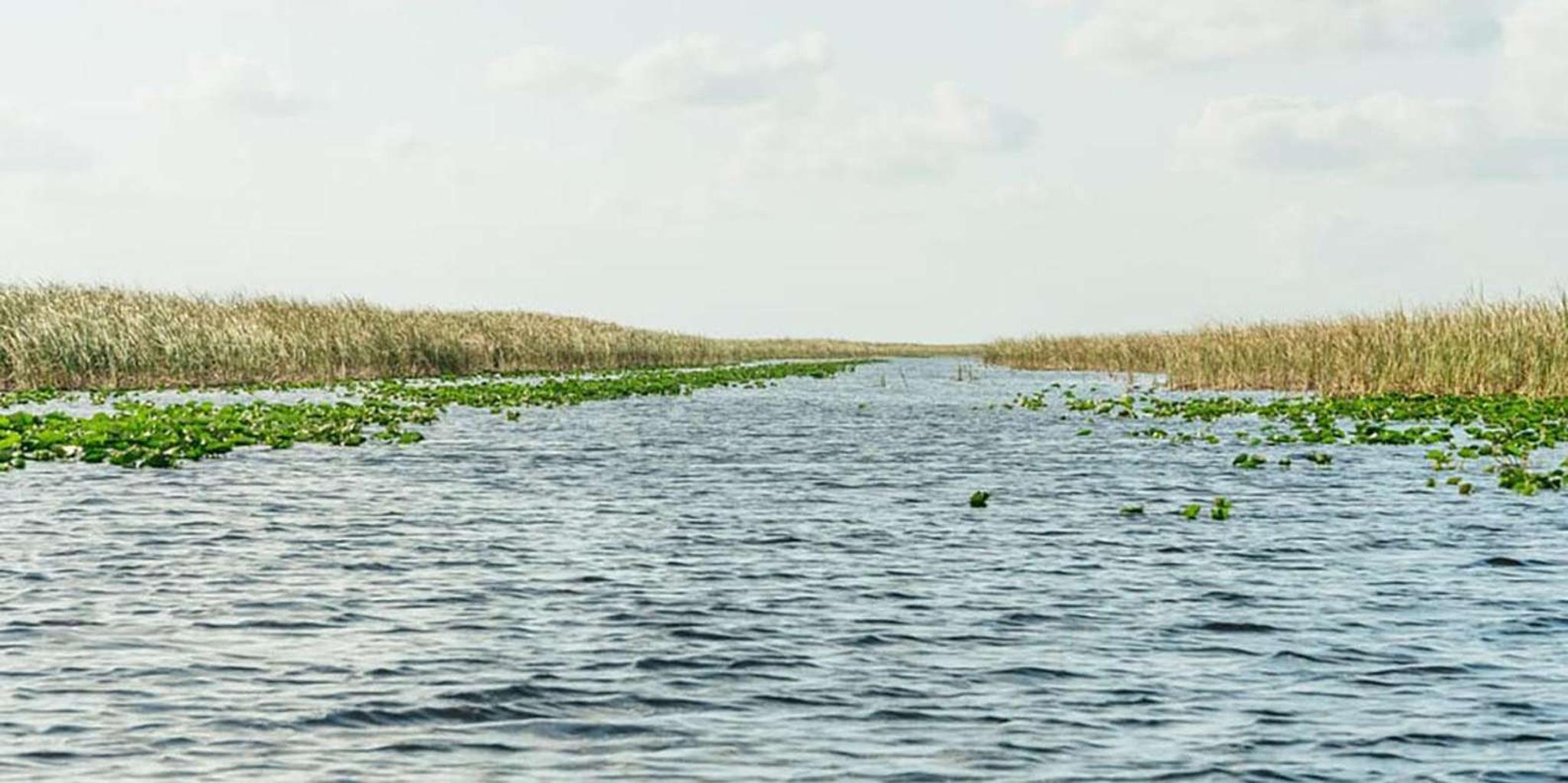 Miami Bus & Boat, Everglades & Key West Snorkeling 3-Day Tour - Image 4